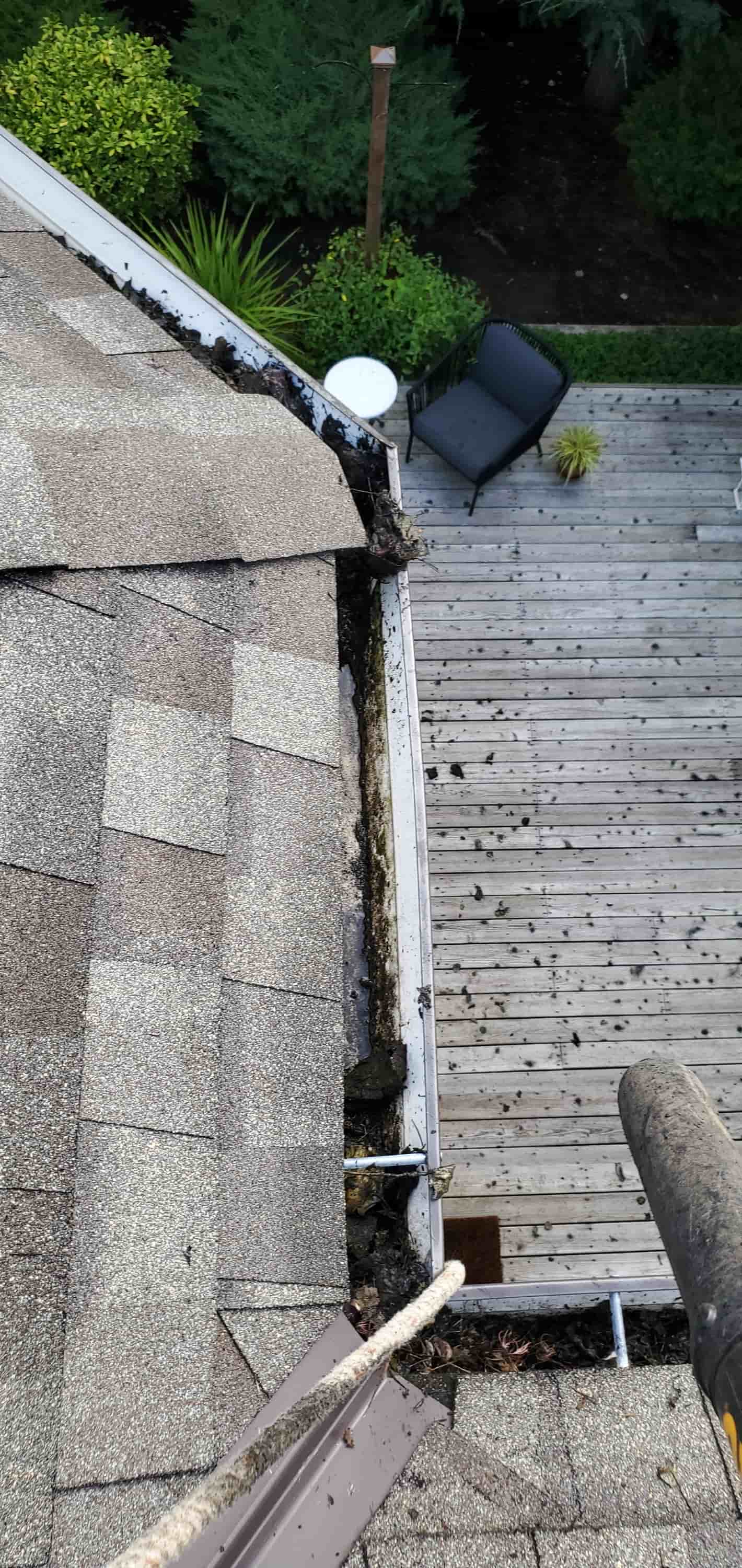 curved downspout