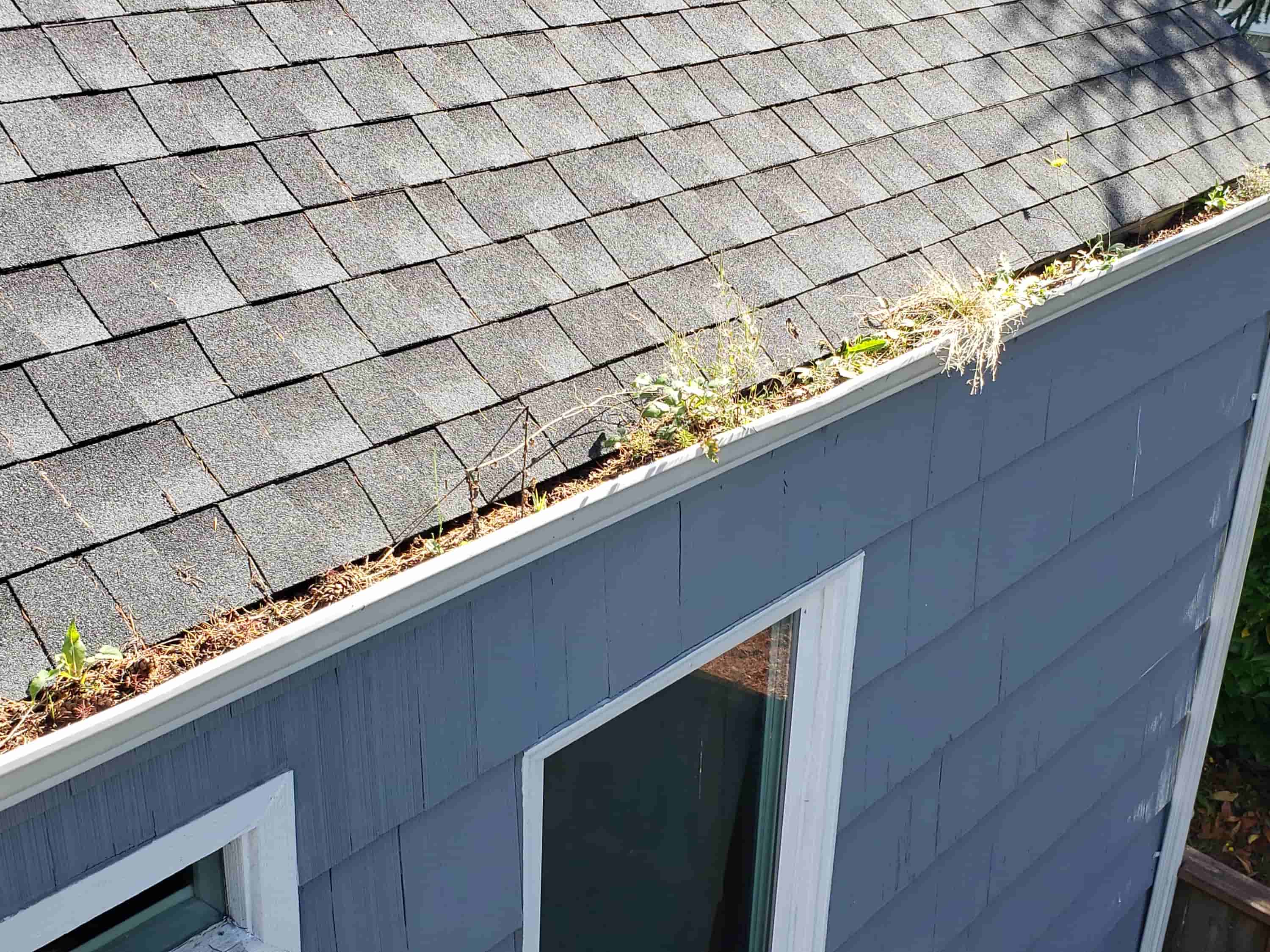 blow leaves off roof