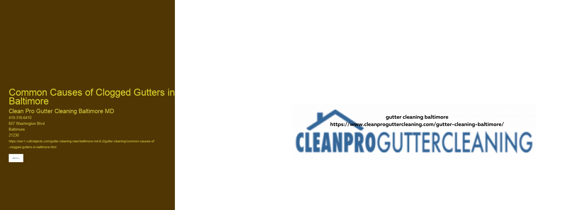 Common Causes of Clogged Gutters in Baltimore 