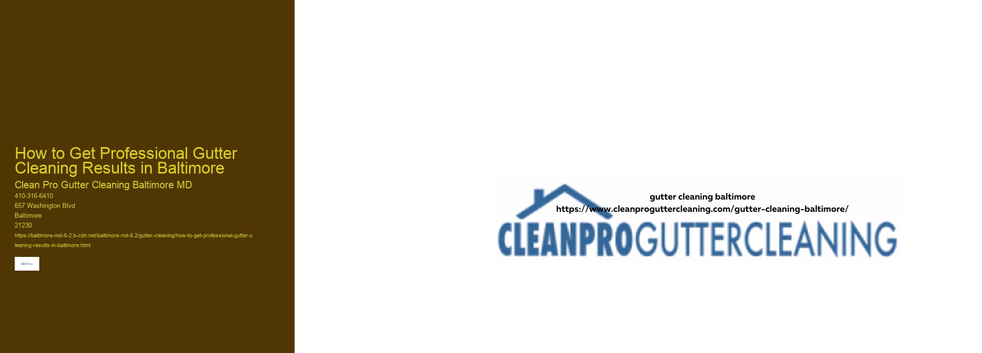 How to Get Professional Gutter Cleaning Results in Baltimore 