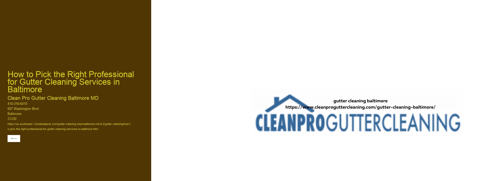 How to Pick the Right Professional for Gutter Cleaning Services in Baltimore