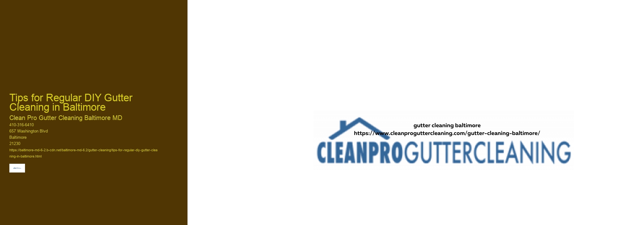 Tips for Regular DIY Gutter Cleaning in Baltimore 