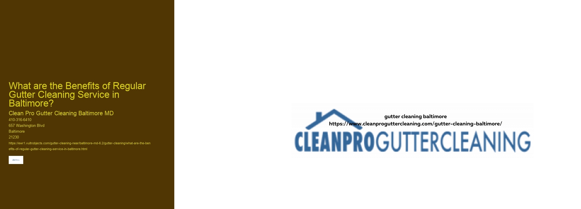 What are the Benefits of Regular Gutter Cleaning Service in Baltimore?