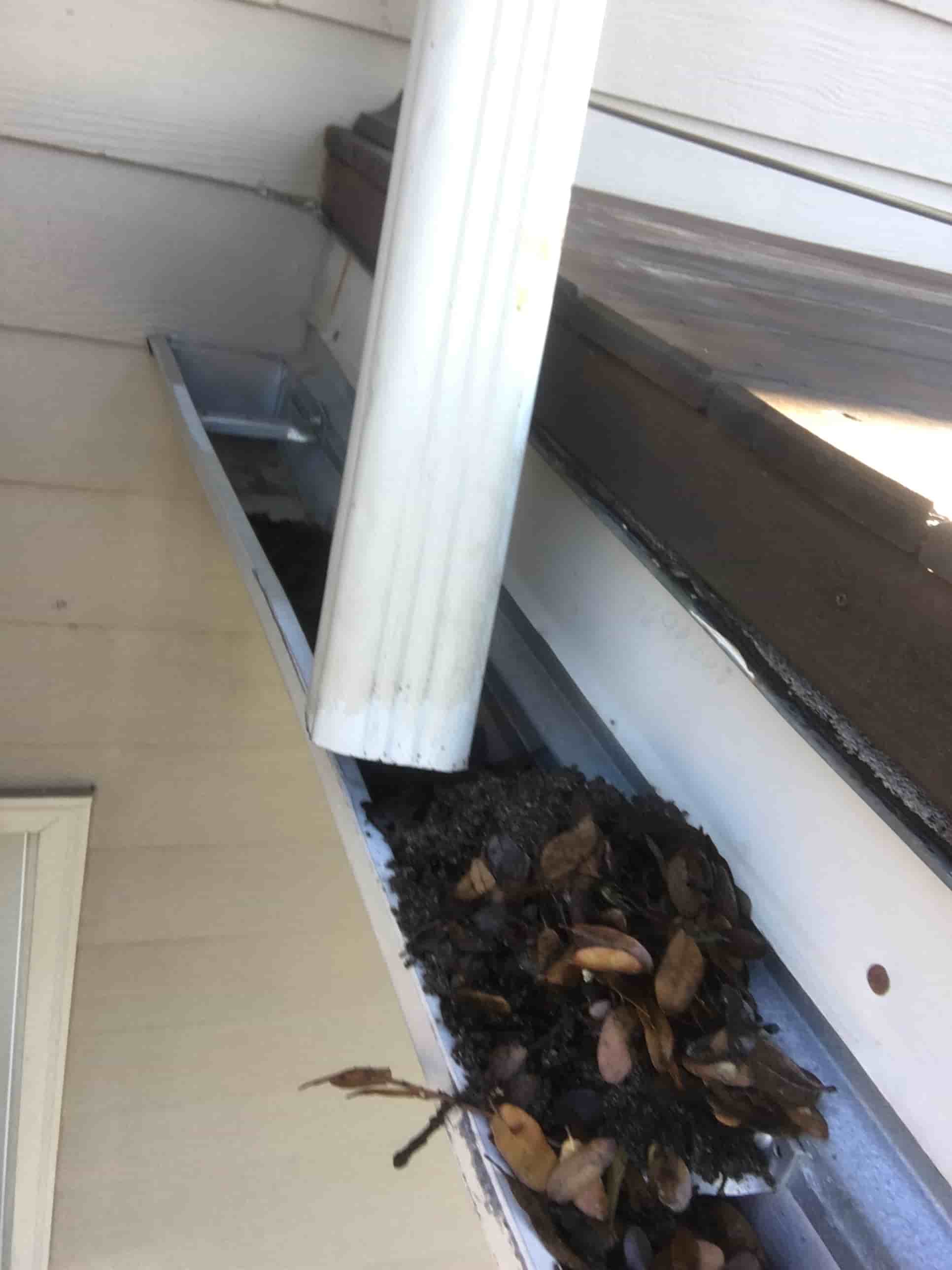 cleaning out gutters
