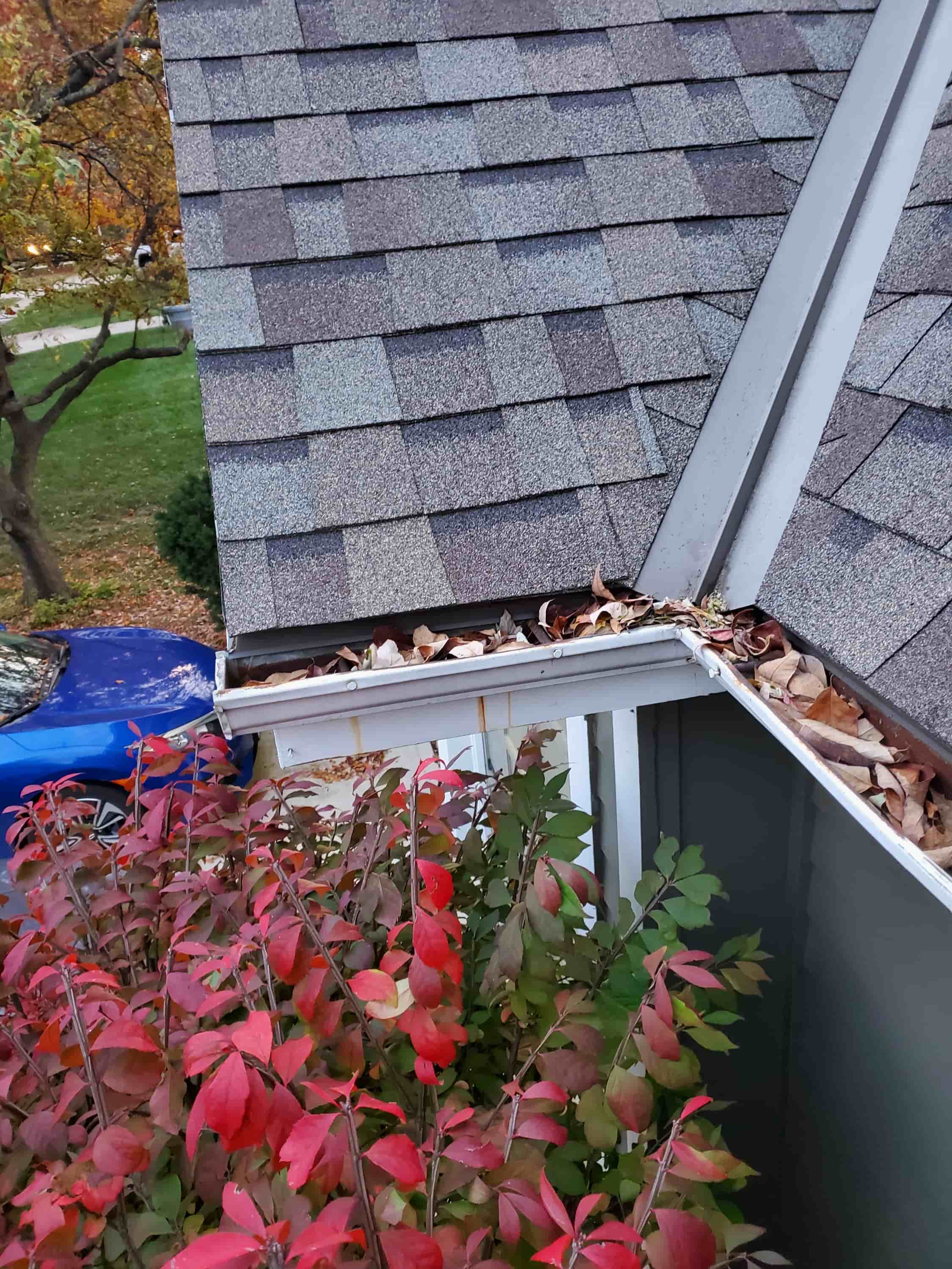 fall gutter cleaning