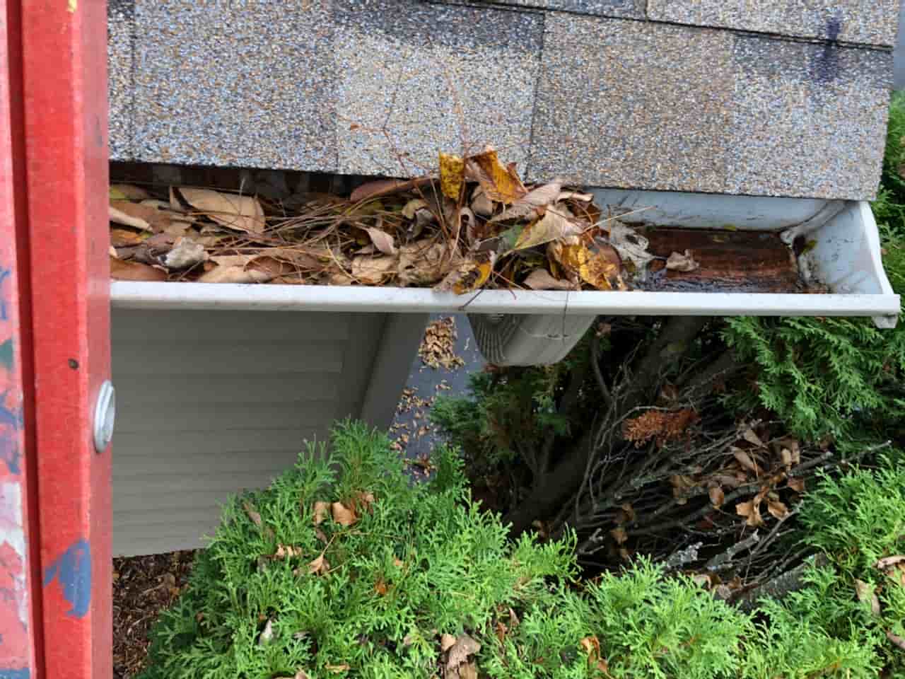 leaf gutter cleaning