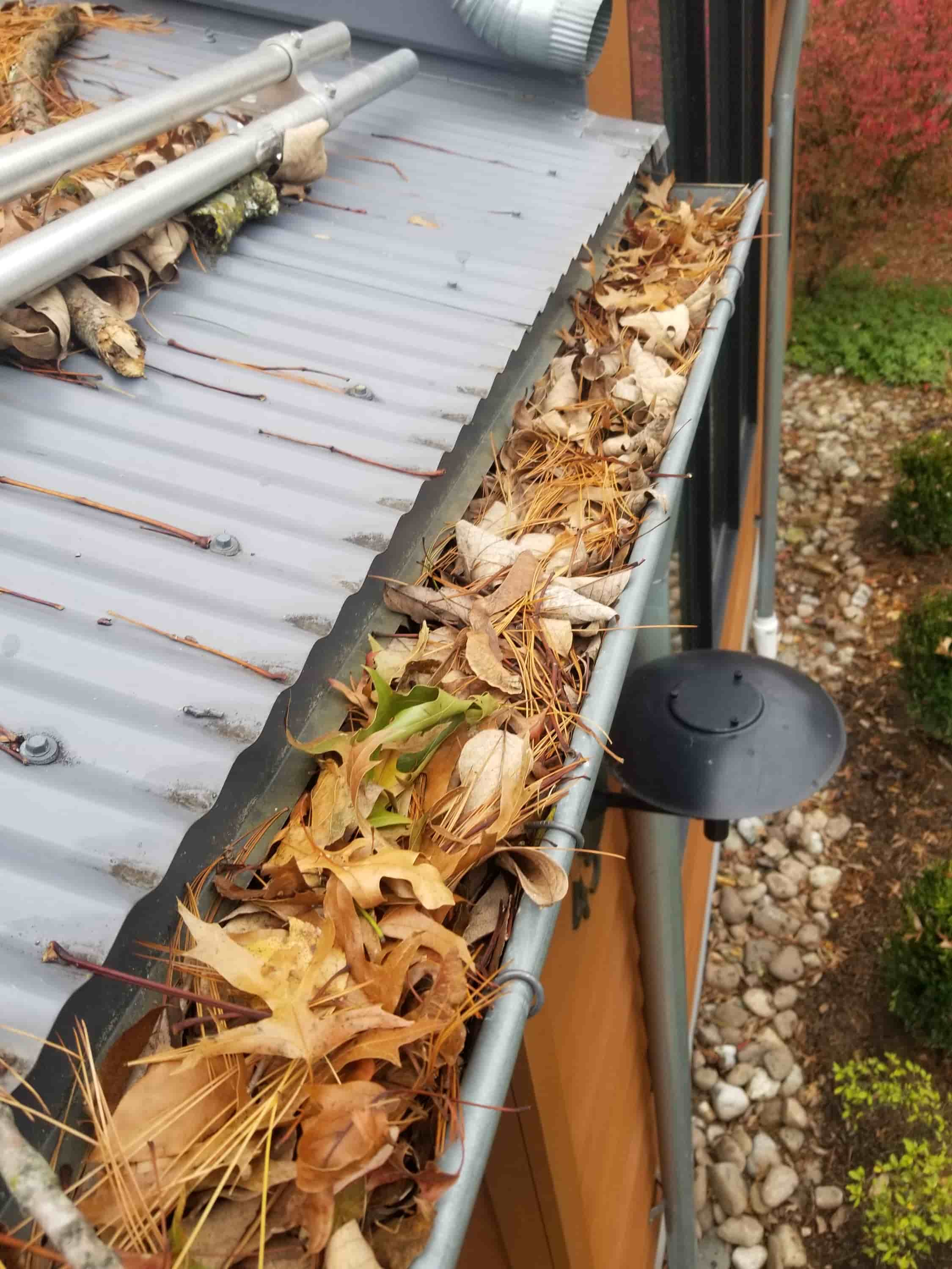 gutter cleaning shovel