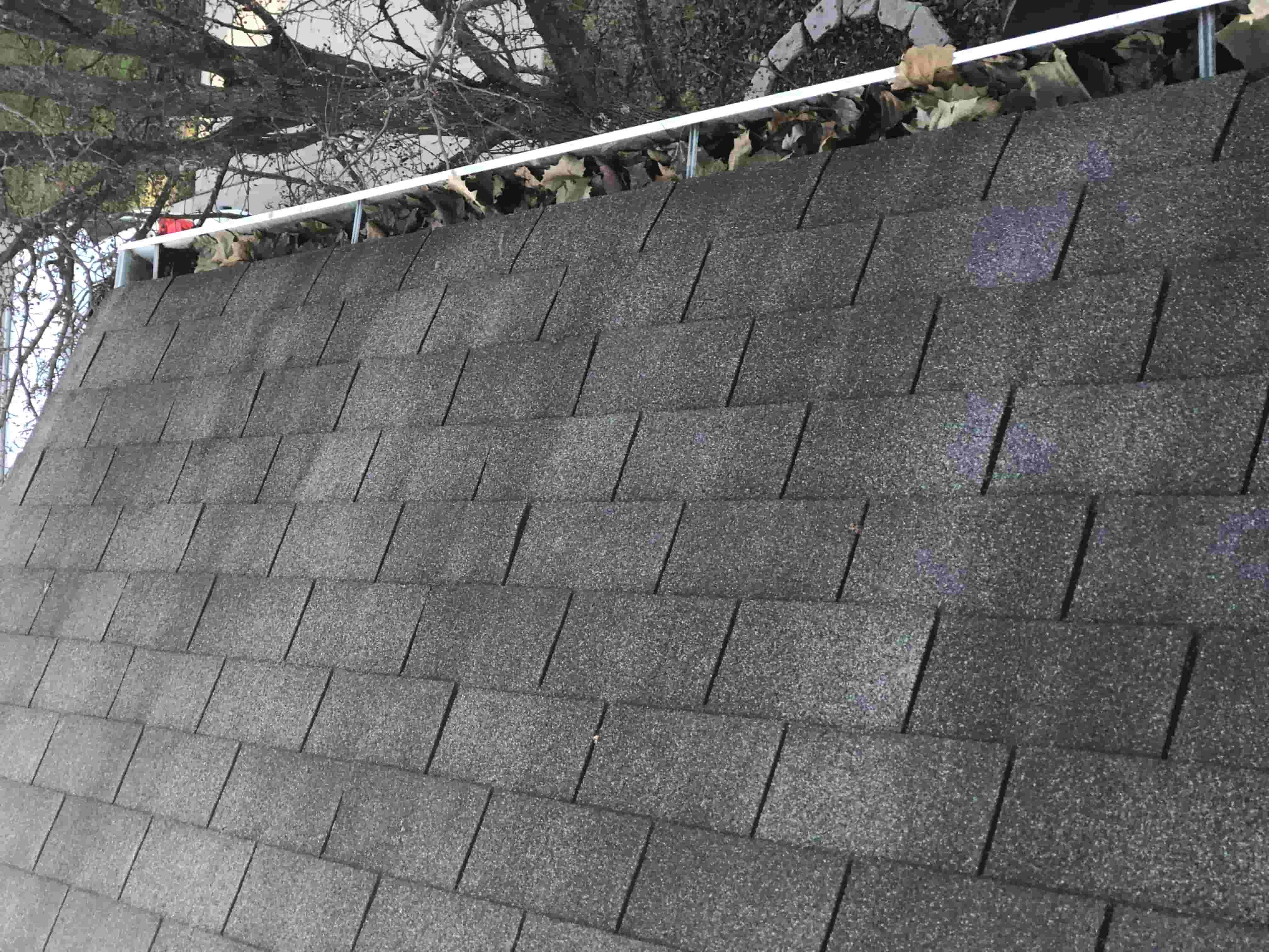 gutter cleaning for tall houses
