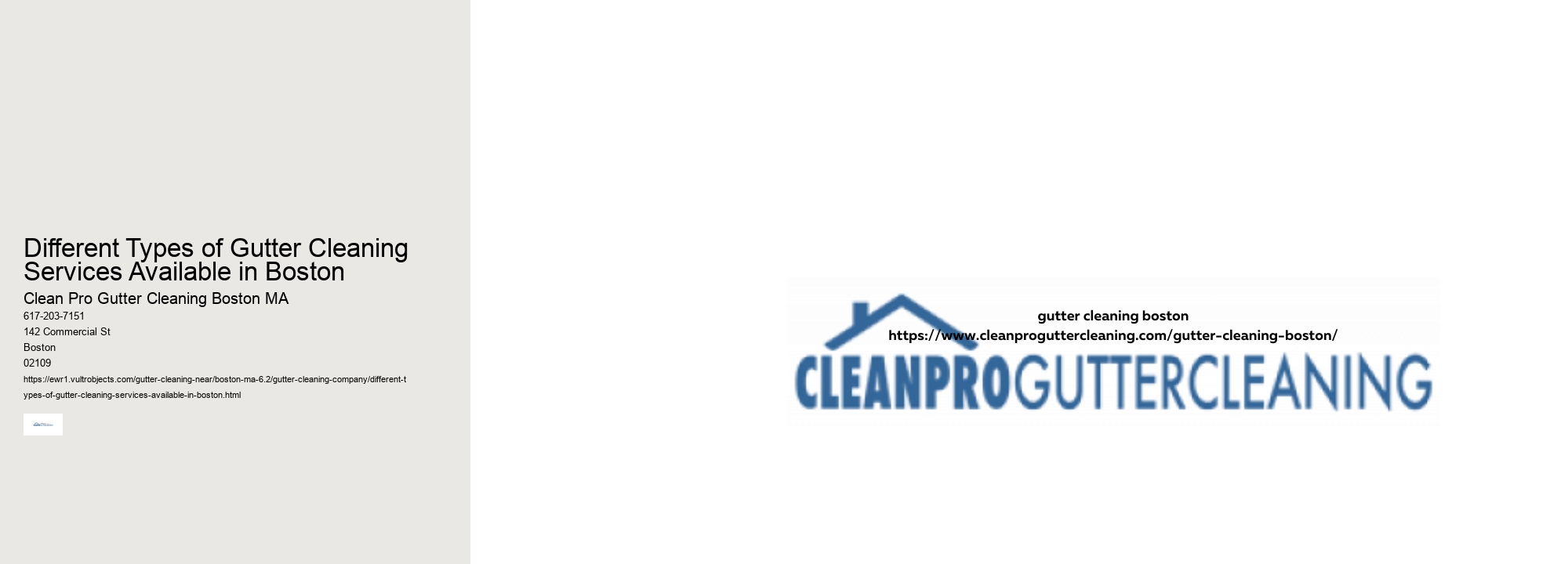 Different Types of Gutter Cleaning Services Available in Boston 
