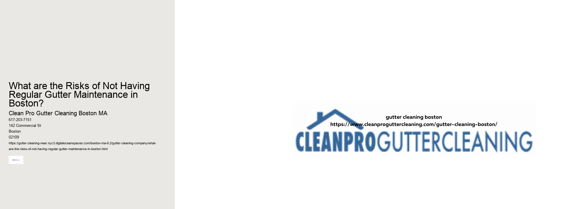 What are the Risks of Not Having Regular Gutter Maintenance in Boston? 