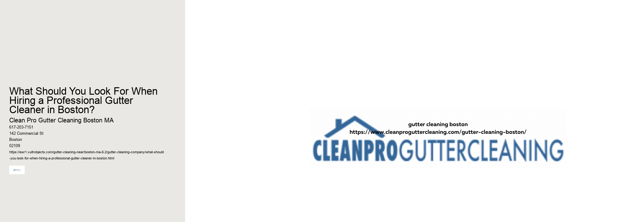 What Should You Look For When Hiring a Professional Gutter Cleaner in Boston?