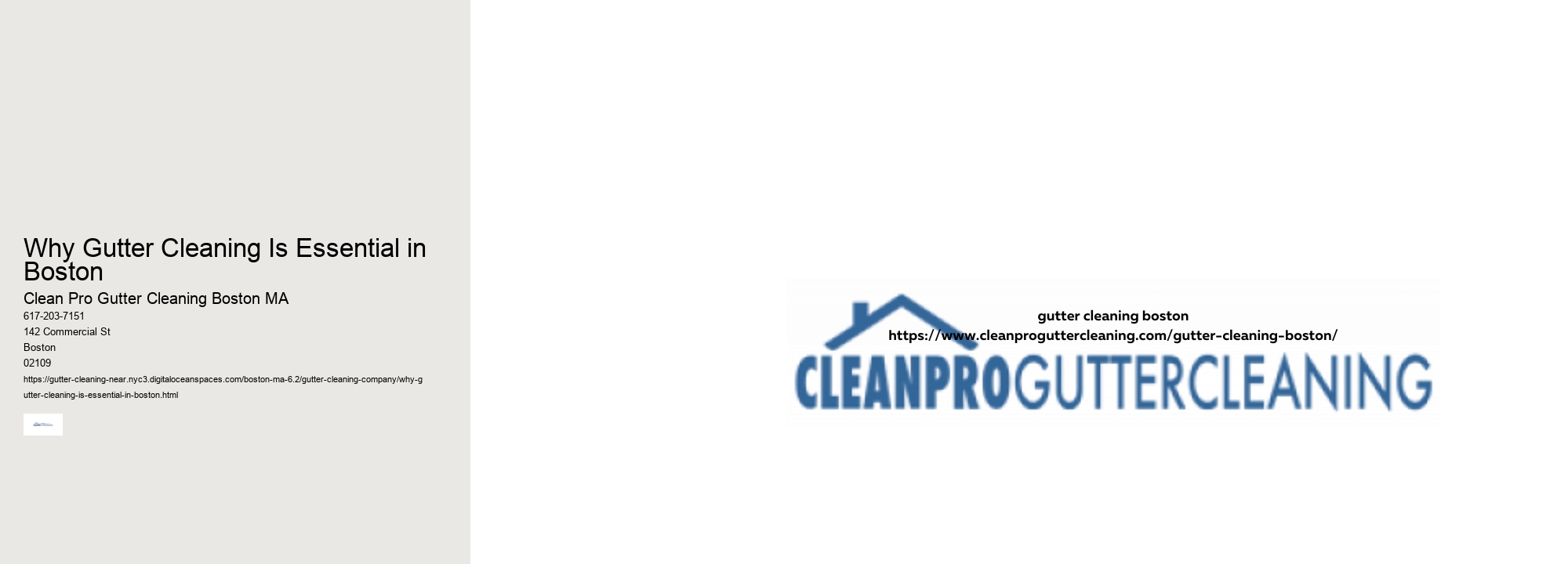 Why Gutter Cleaning Is Essential in Boston 