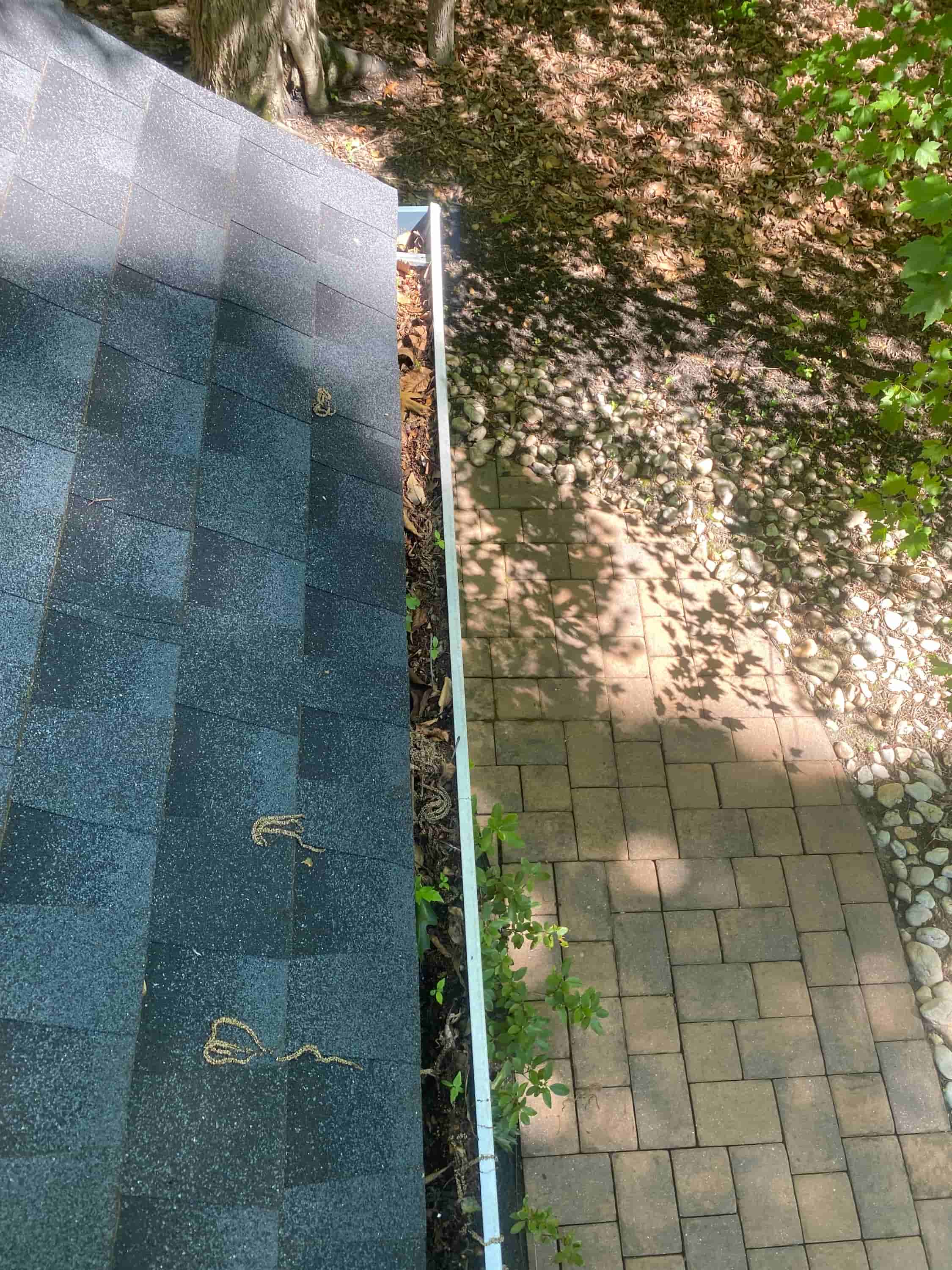 how to clear blocked gutters