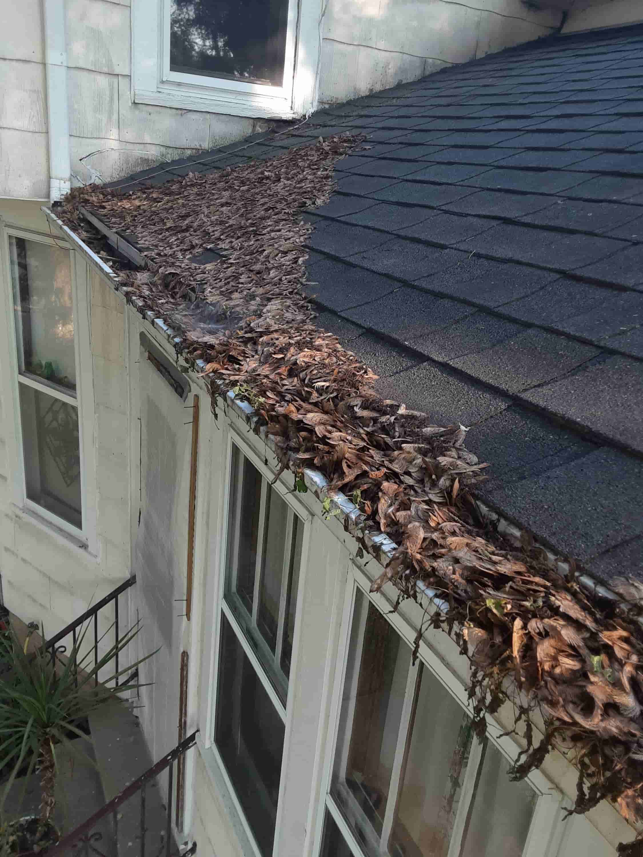 gutter cleaning service cost