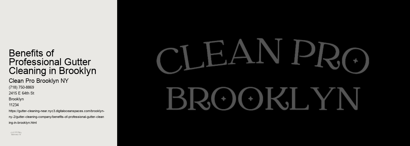Benefits of Professional Gutter Cleaning in Brooklyn 