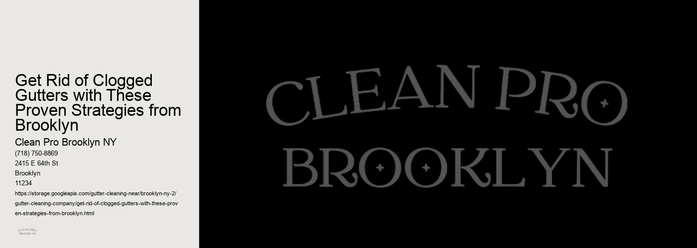 Get Rid of Clogged Gutters with These Proven Strategies from Brooklyn 