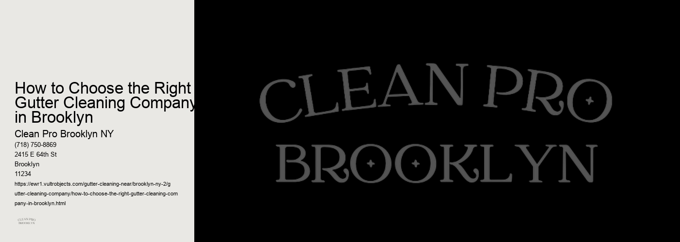 How to Choose the Right Gutter Cleaning Company in Brooklyn 