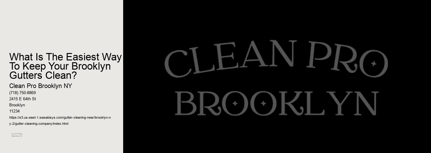What Is The Easiest Way To Keep Your Brooklyn Gutters Clean? 