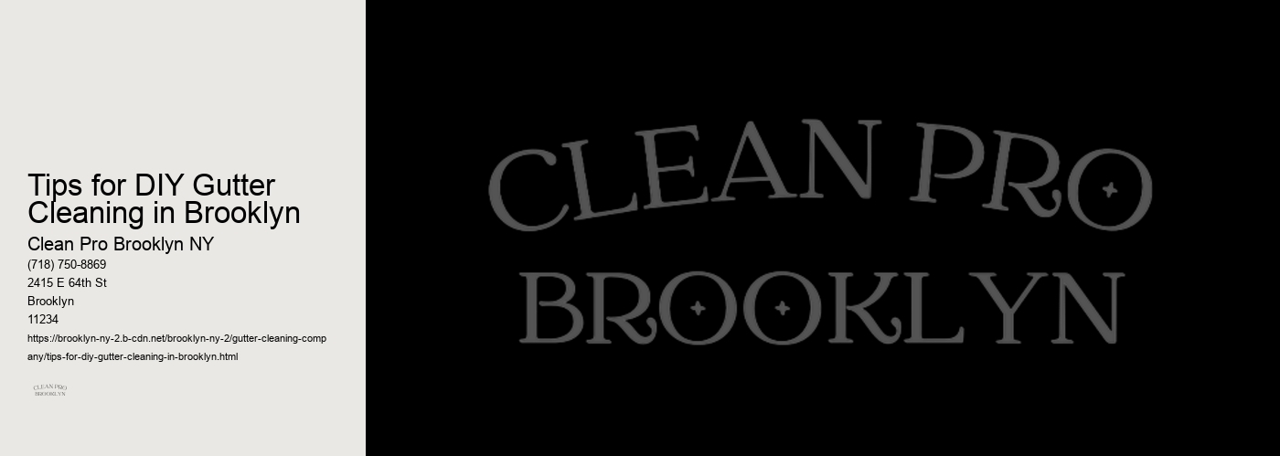 Tips for DIY Gutter Cleaning in Brooklyn 