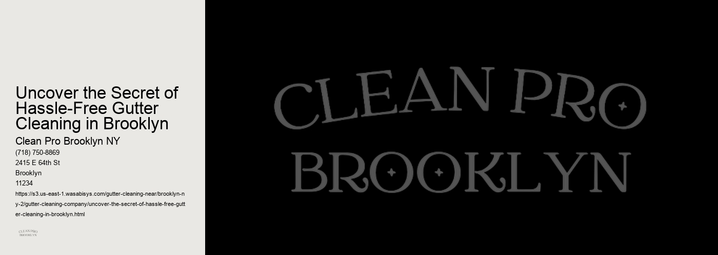 Uncover the Secret of Hassle-Free Gutter Cleaning in Brooklyn 