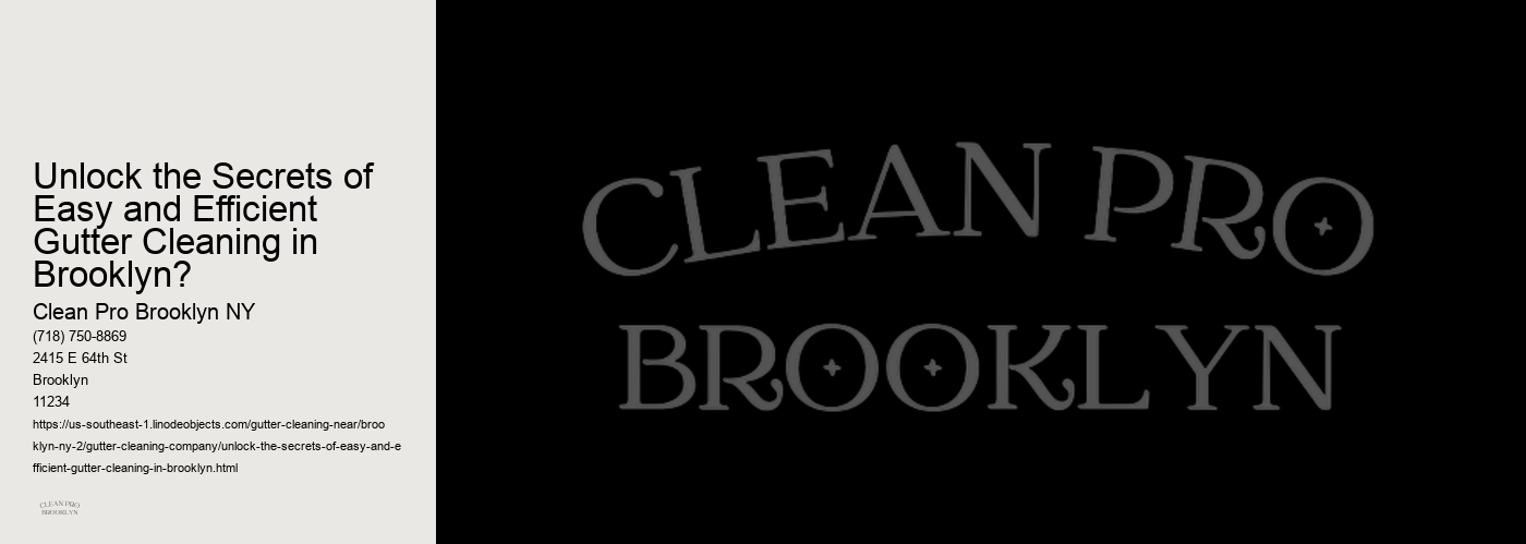 Unlock the Secrets of Easy and Efficient Gutter Cleaning in Brooklyn?