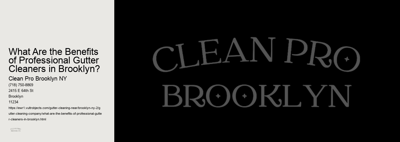 What Are the Benefits of Professional Gutter Cleaners in Brooklyn?