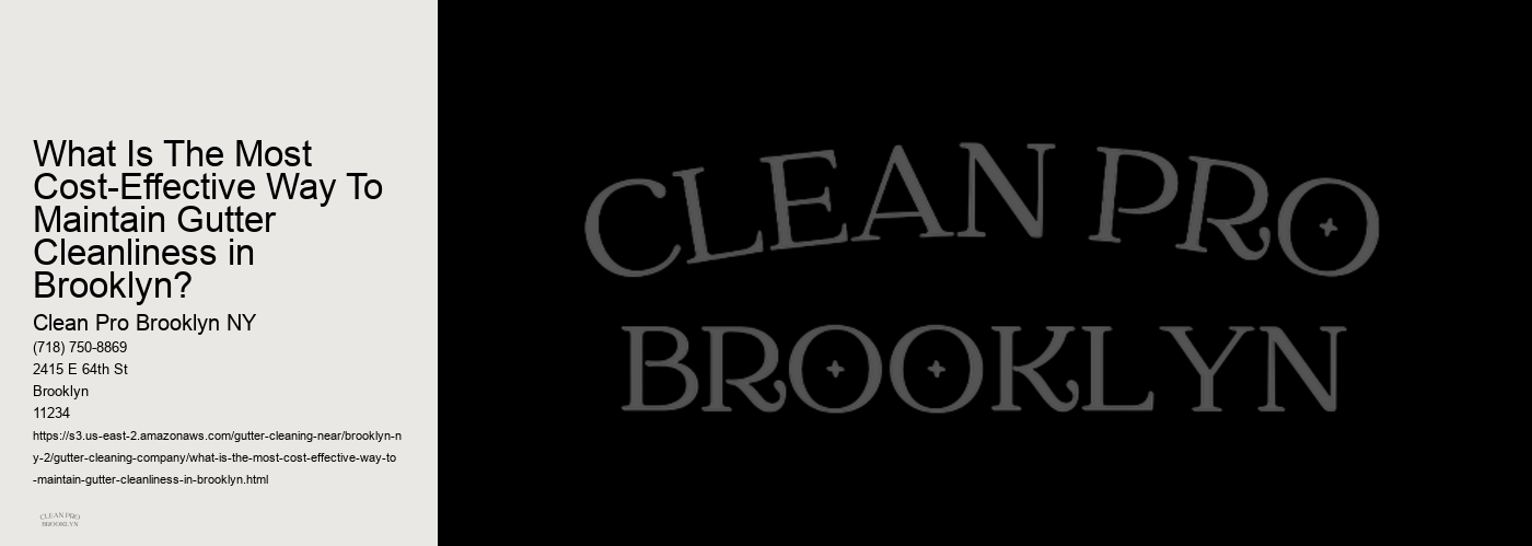 What Is The Most Cost-Effective Way To Maintain Gutter Cleanliness in Brooklyn? 