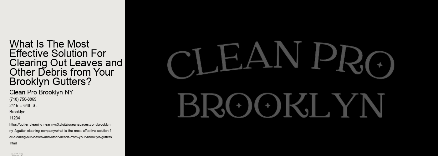 What Is The Most Effective Solution For Clearing Out Leaves and Other Debris from Your Brooklyn Gutters? 