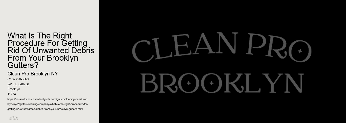 What Is The Right Procedure For Getting Rid Of Unwanted Debris From Your Brooklyn Gutters? 