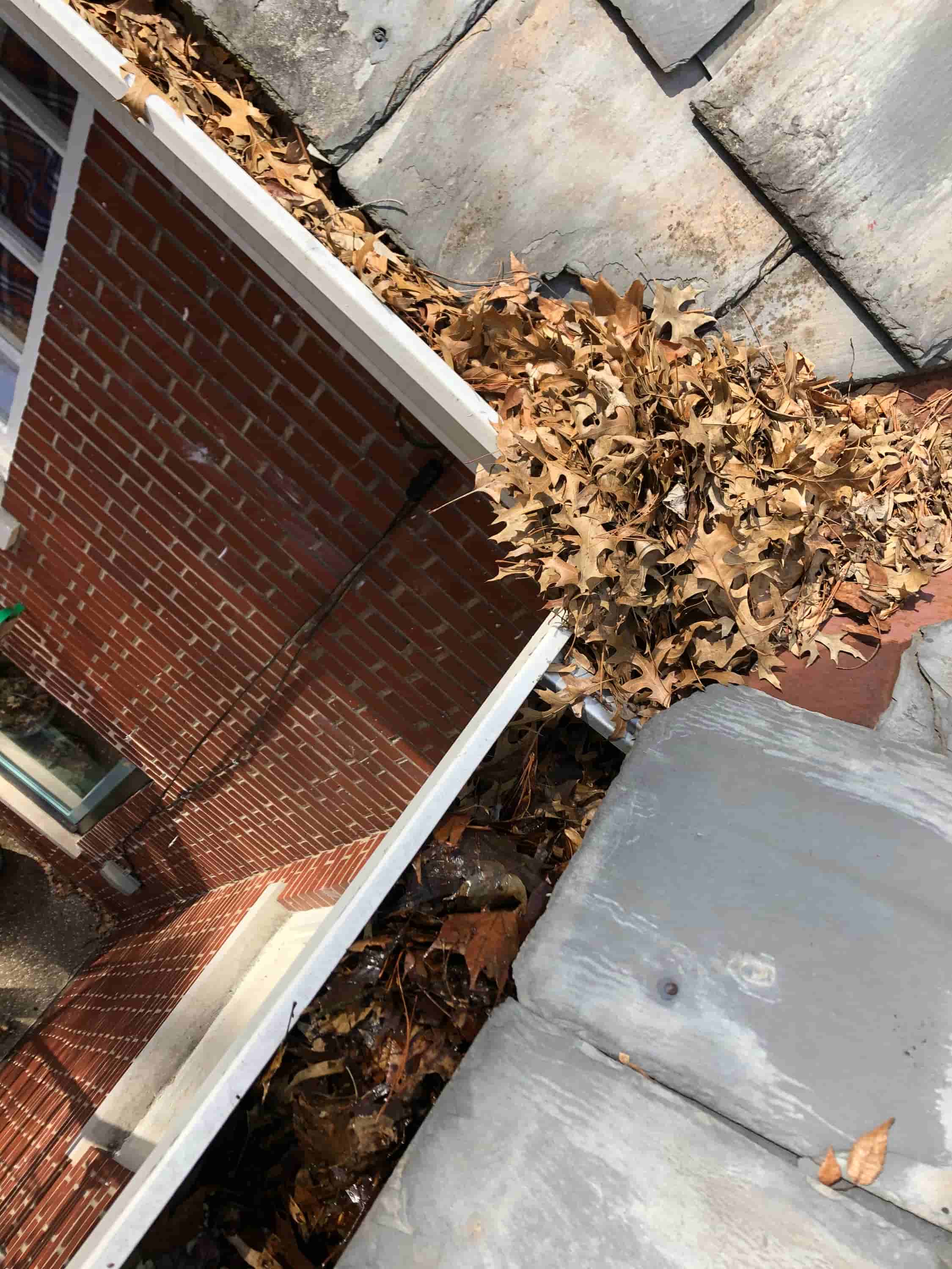using leaf blower to clean gutters