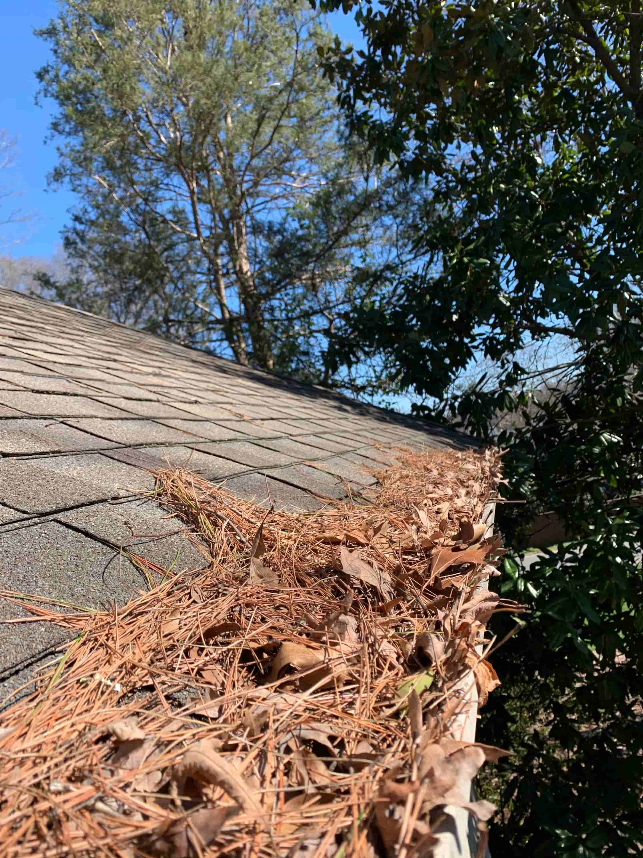 clean your gutters from the ground