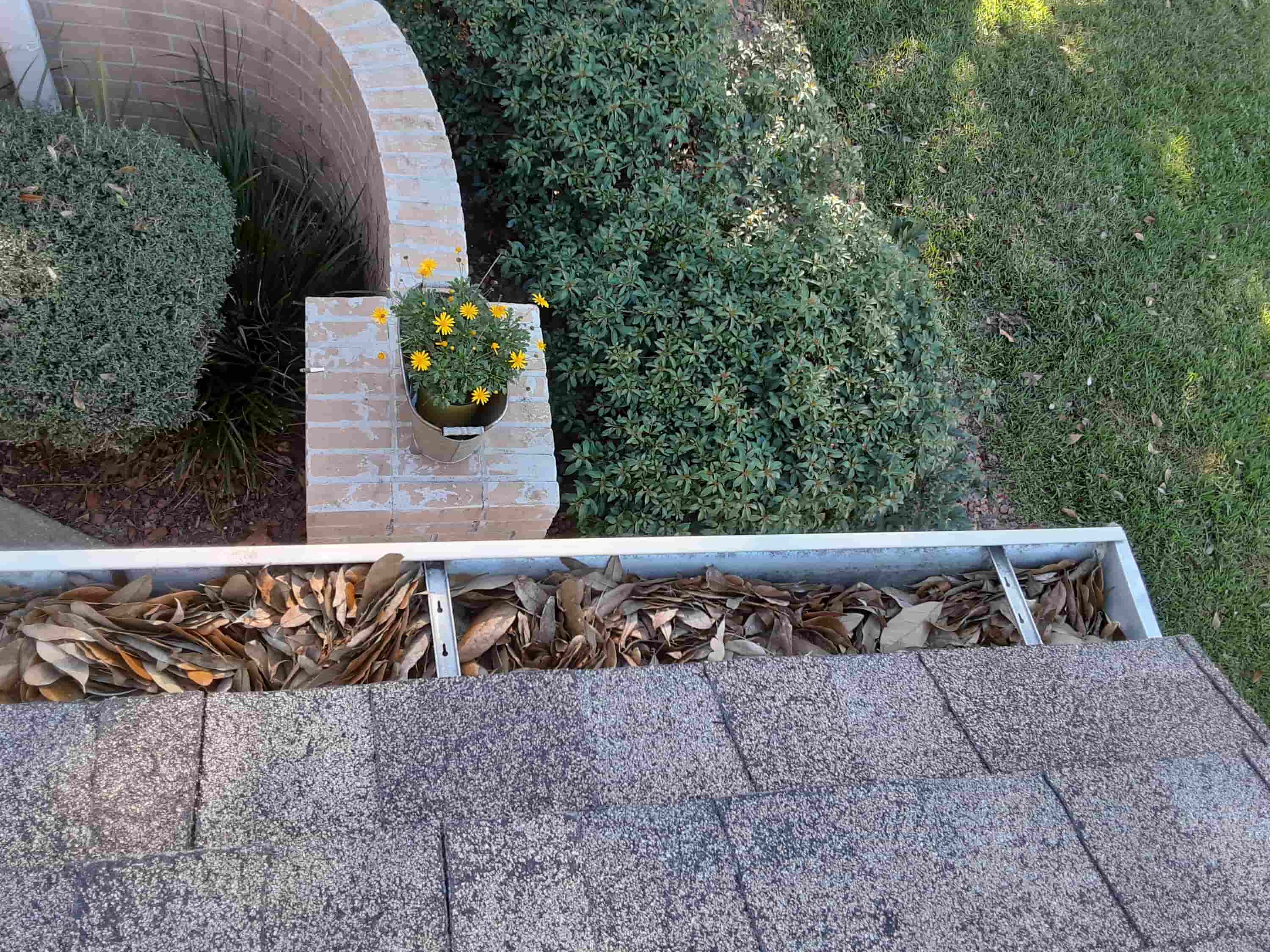 how much should roof cleaning cost