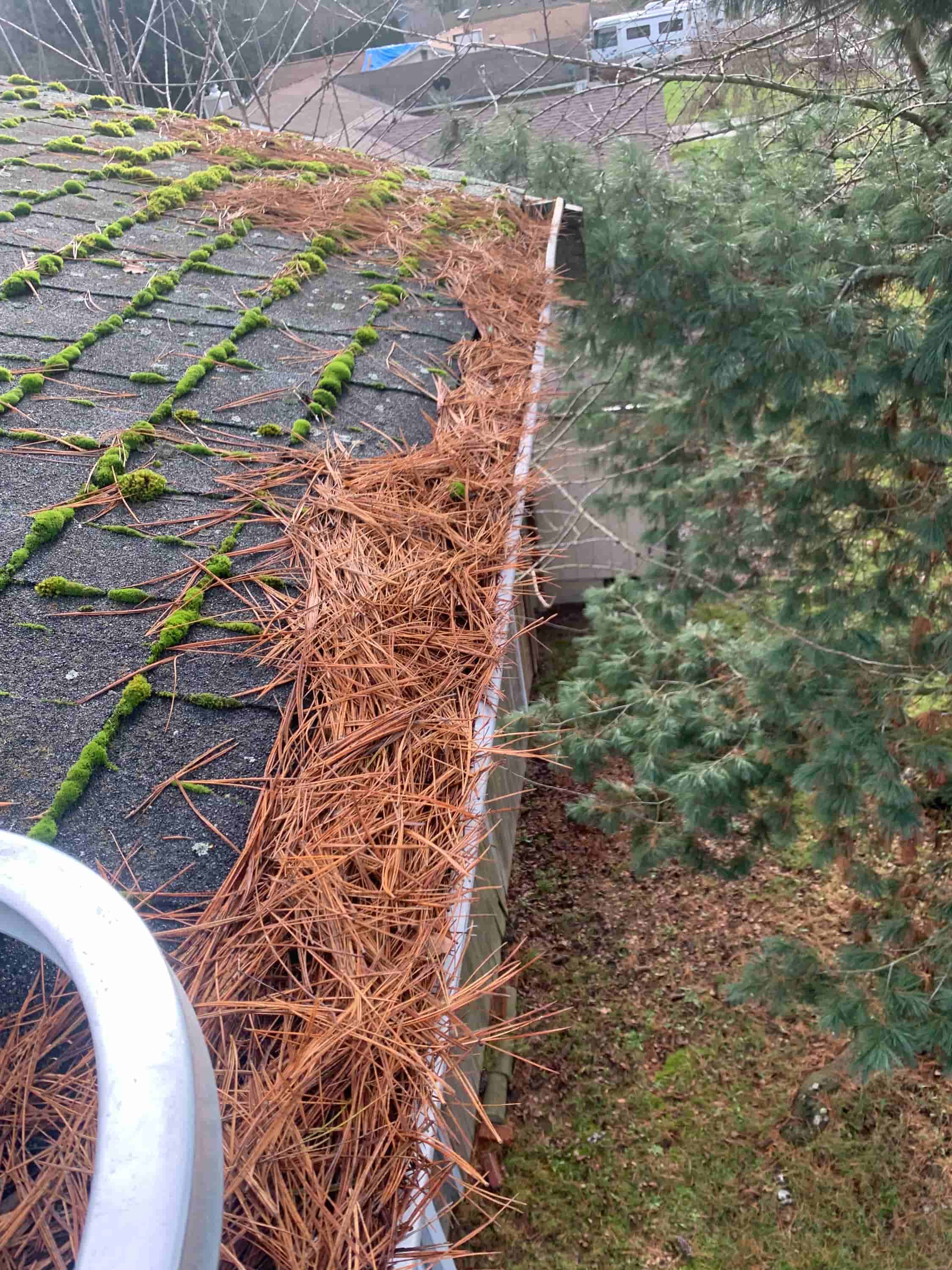 how much to have gutters cleaned