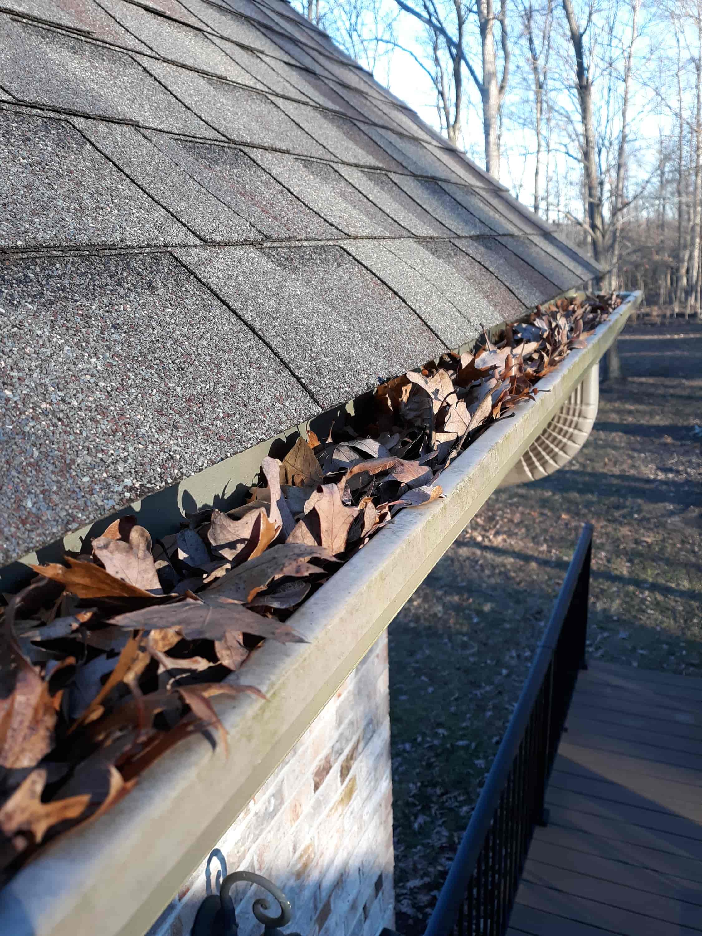 roof and gutter cleaning near me