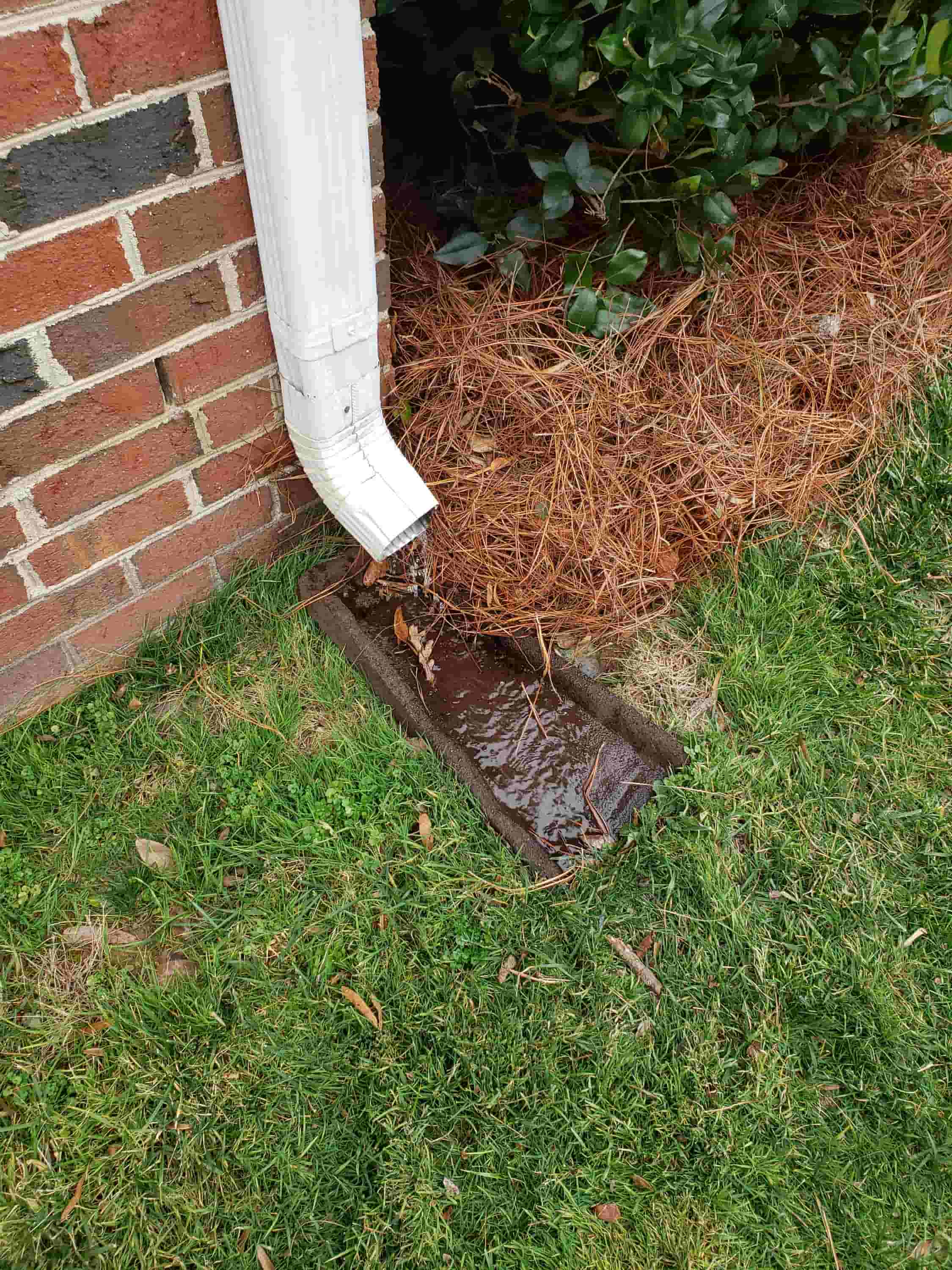 gutter drain cleaning services