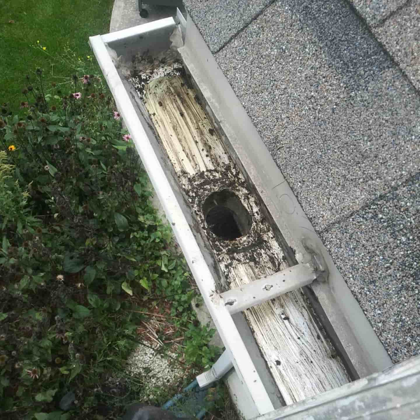 residential gutter cleaning near me