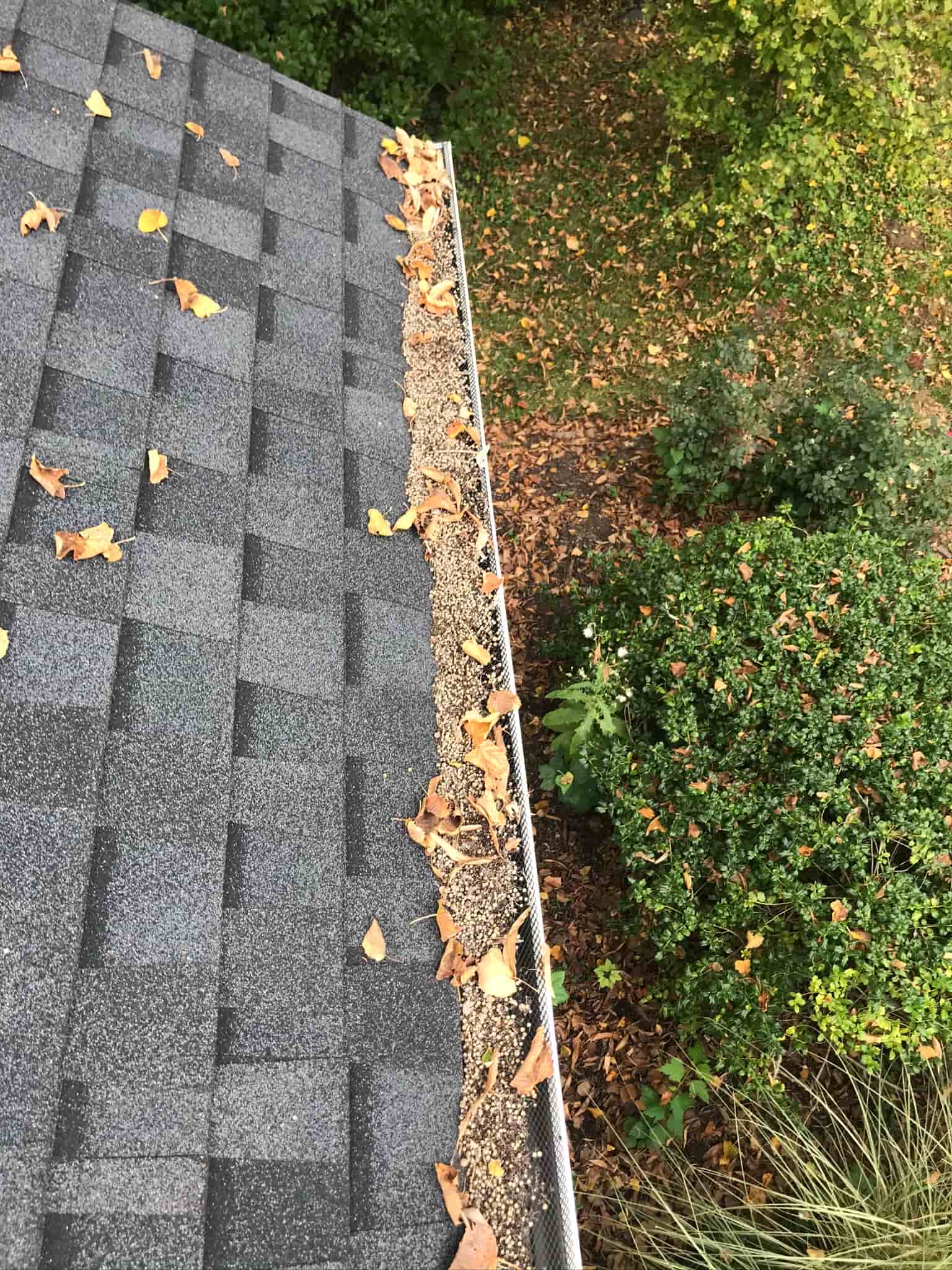 eave cleaning
