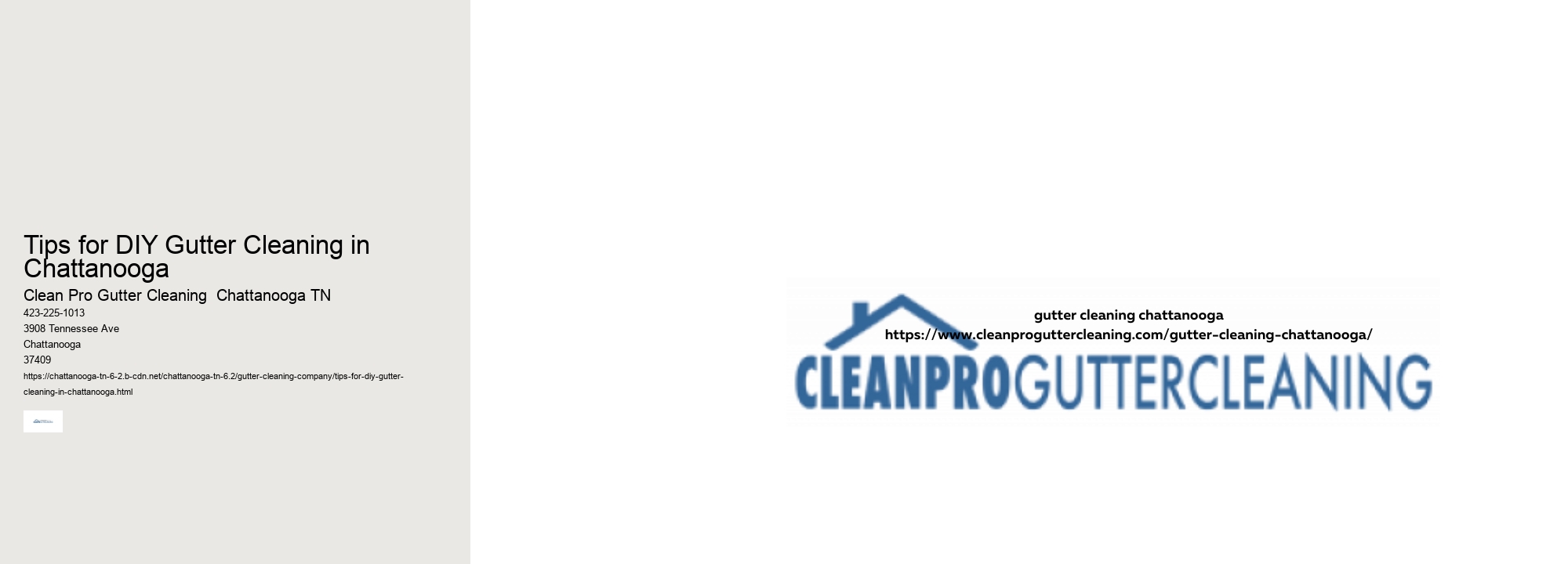 Tips for DIY Gutter Cleaning in Chattanooga 