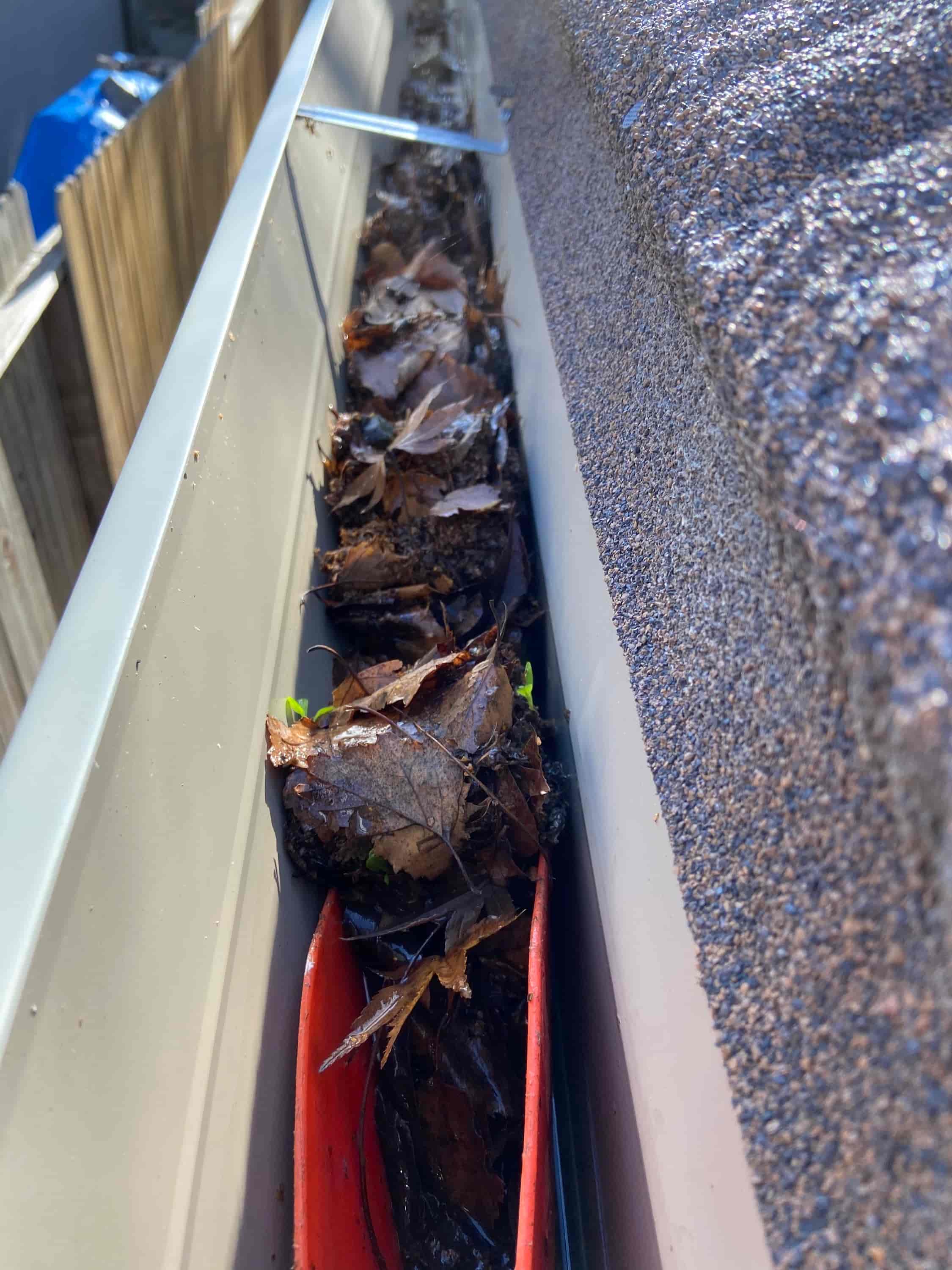 clean gutters from the ground