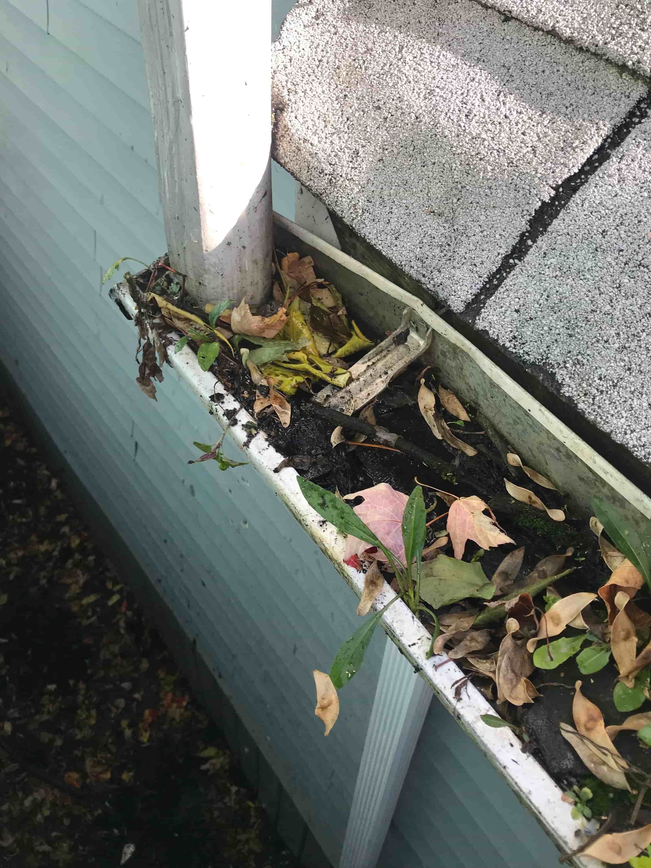 easy way to clean gutters