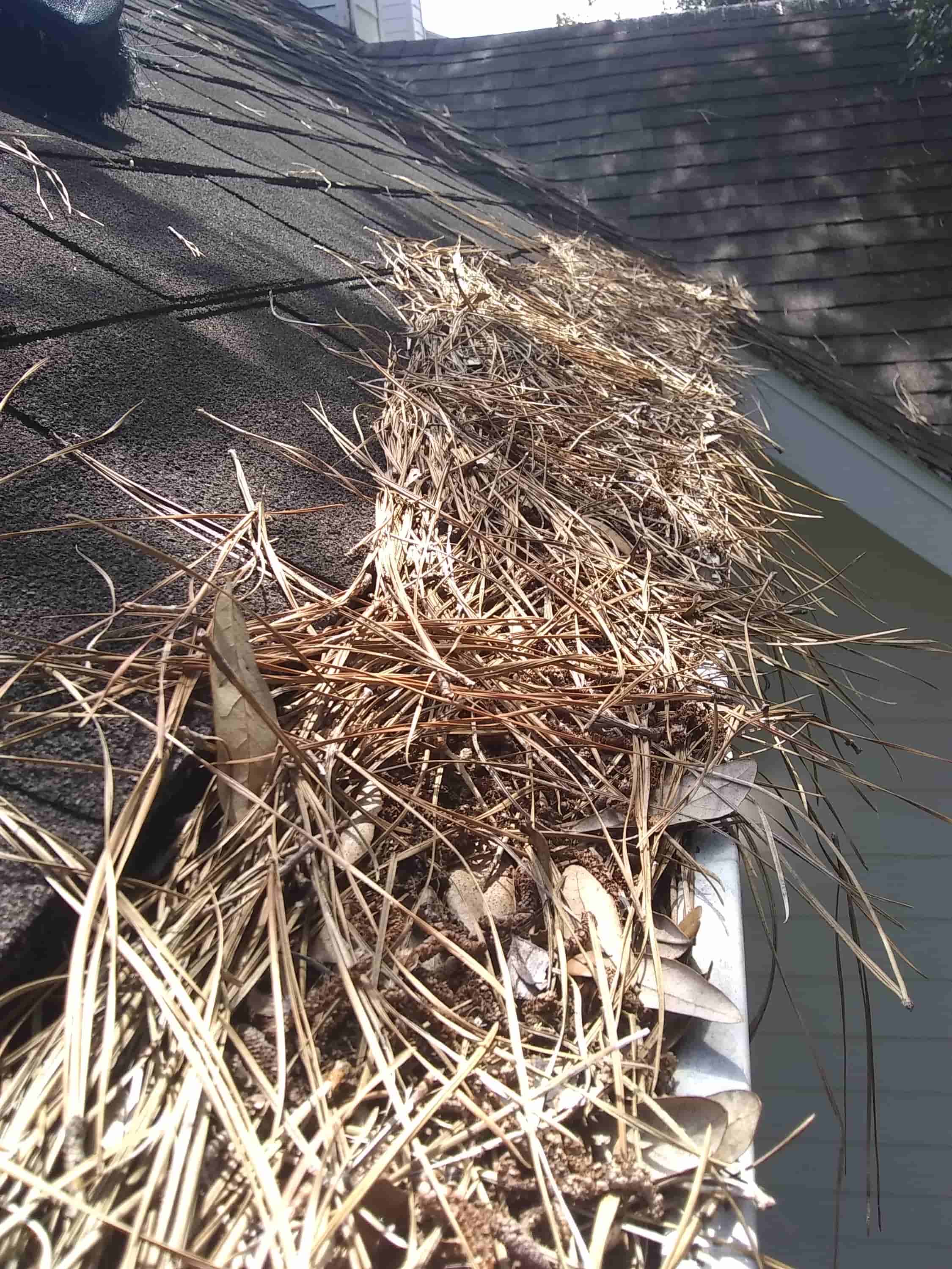 why gutter cleaning