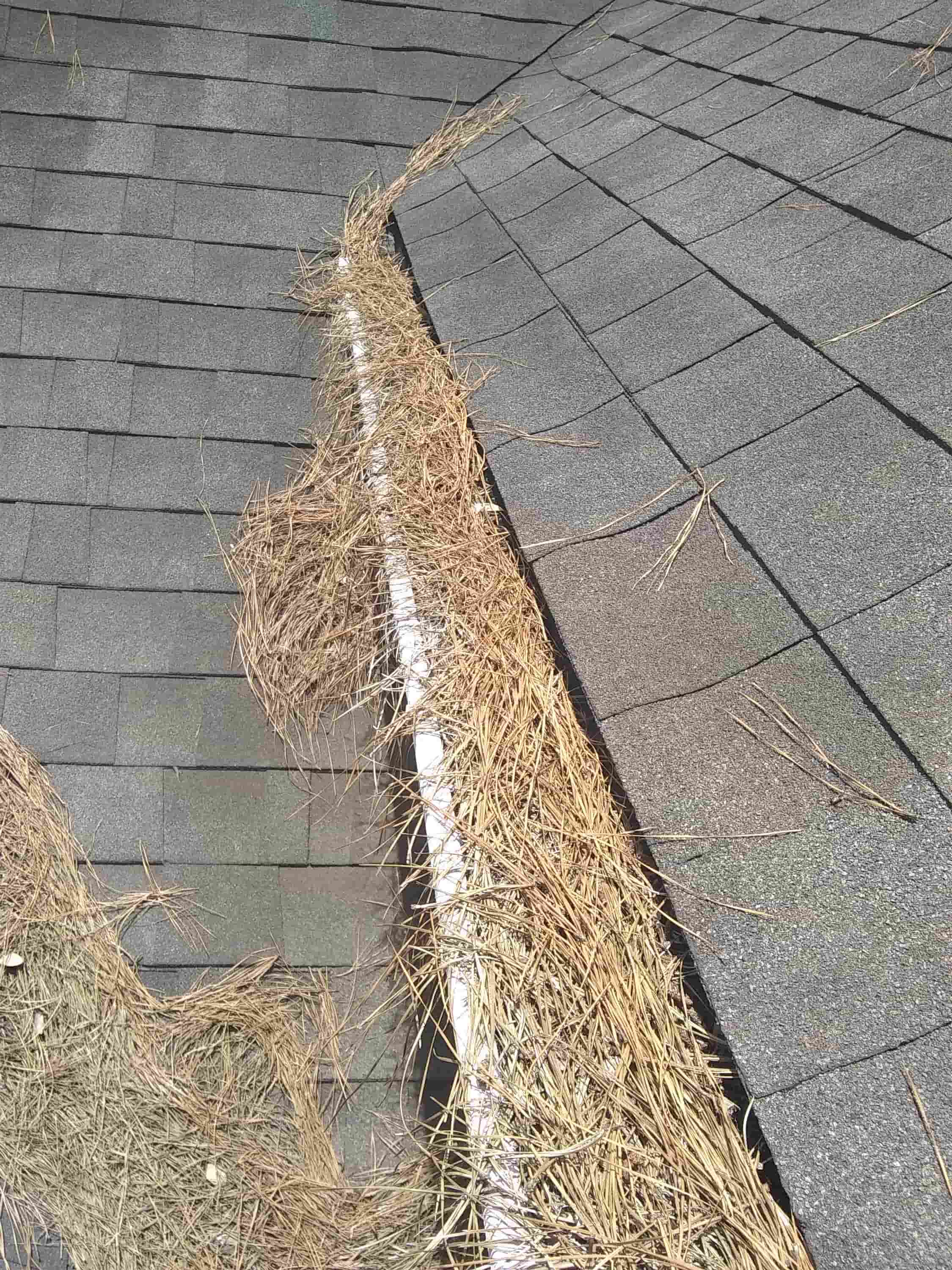 repair gutters yourself