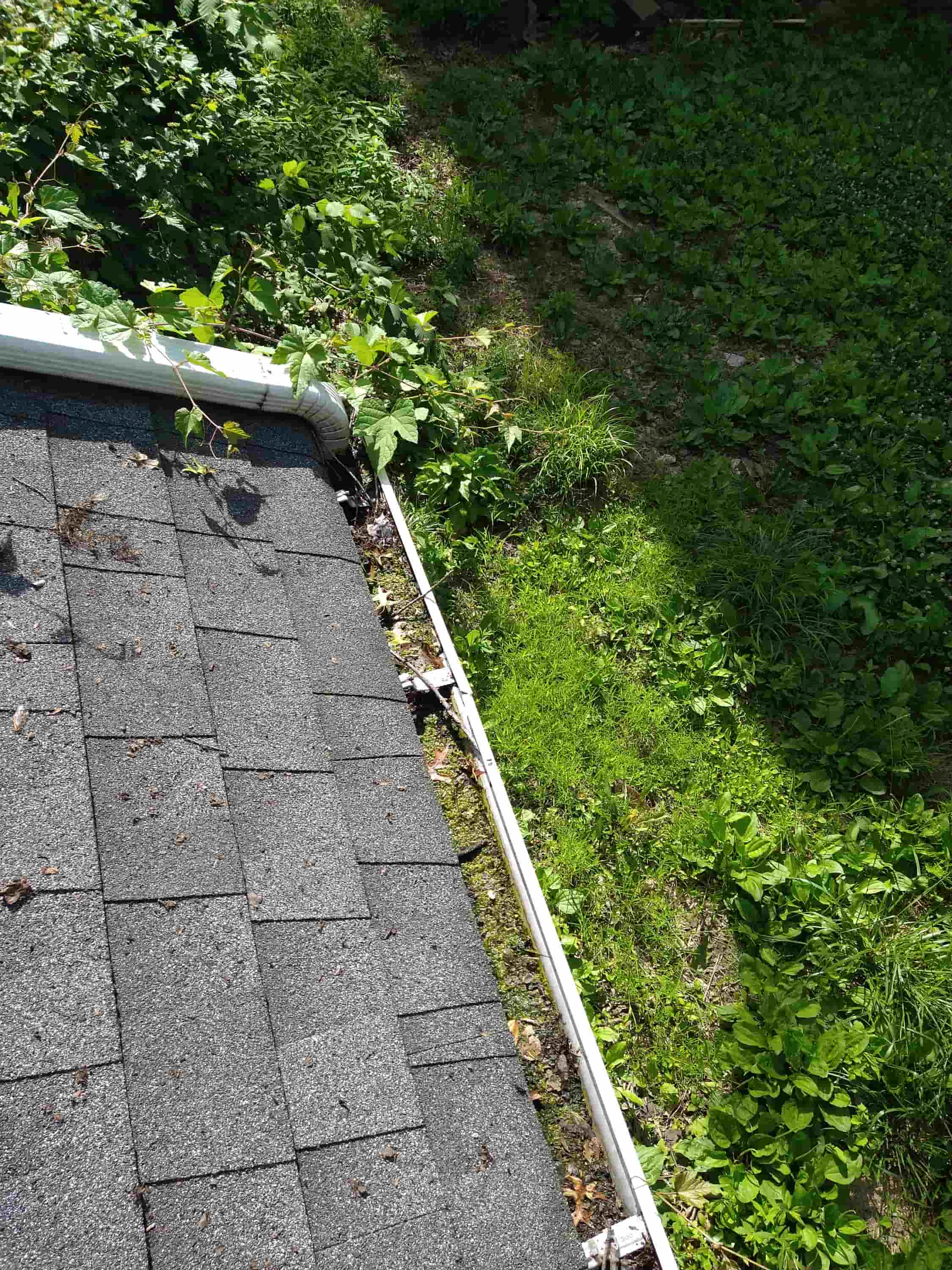 gutter cleaning with vacuum