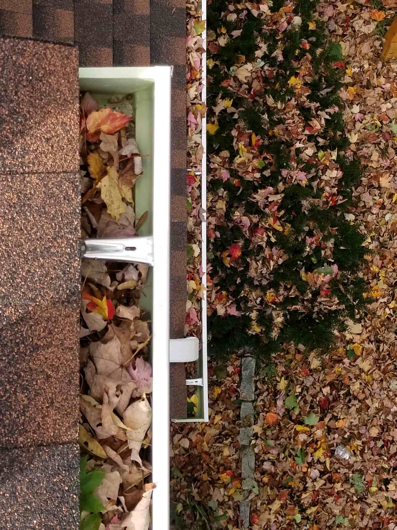gutter cleaning ladder