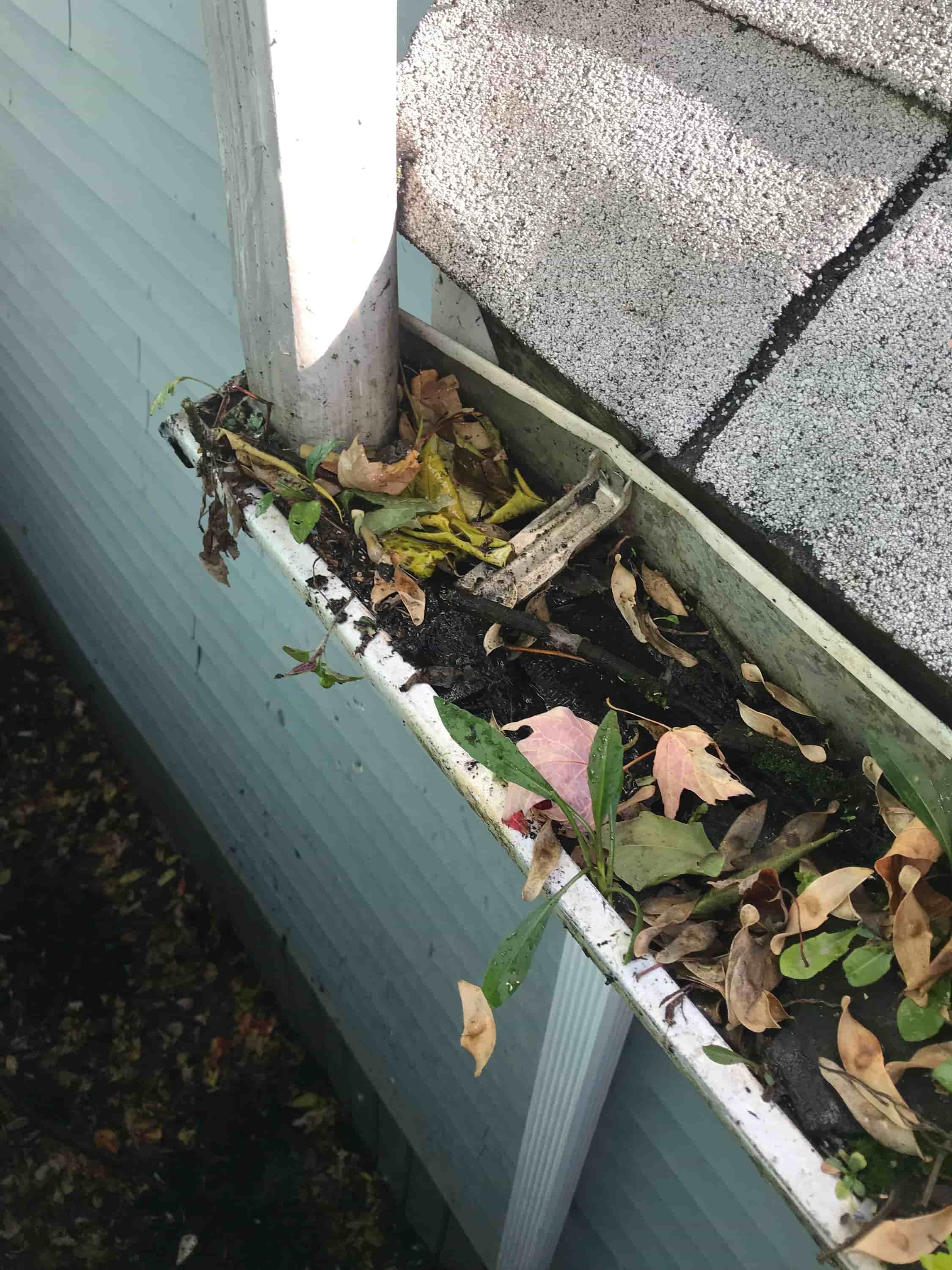 downspout cleaning tools