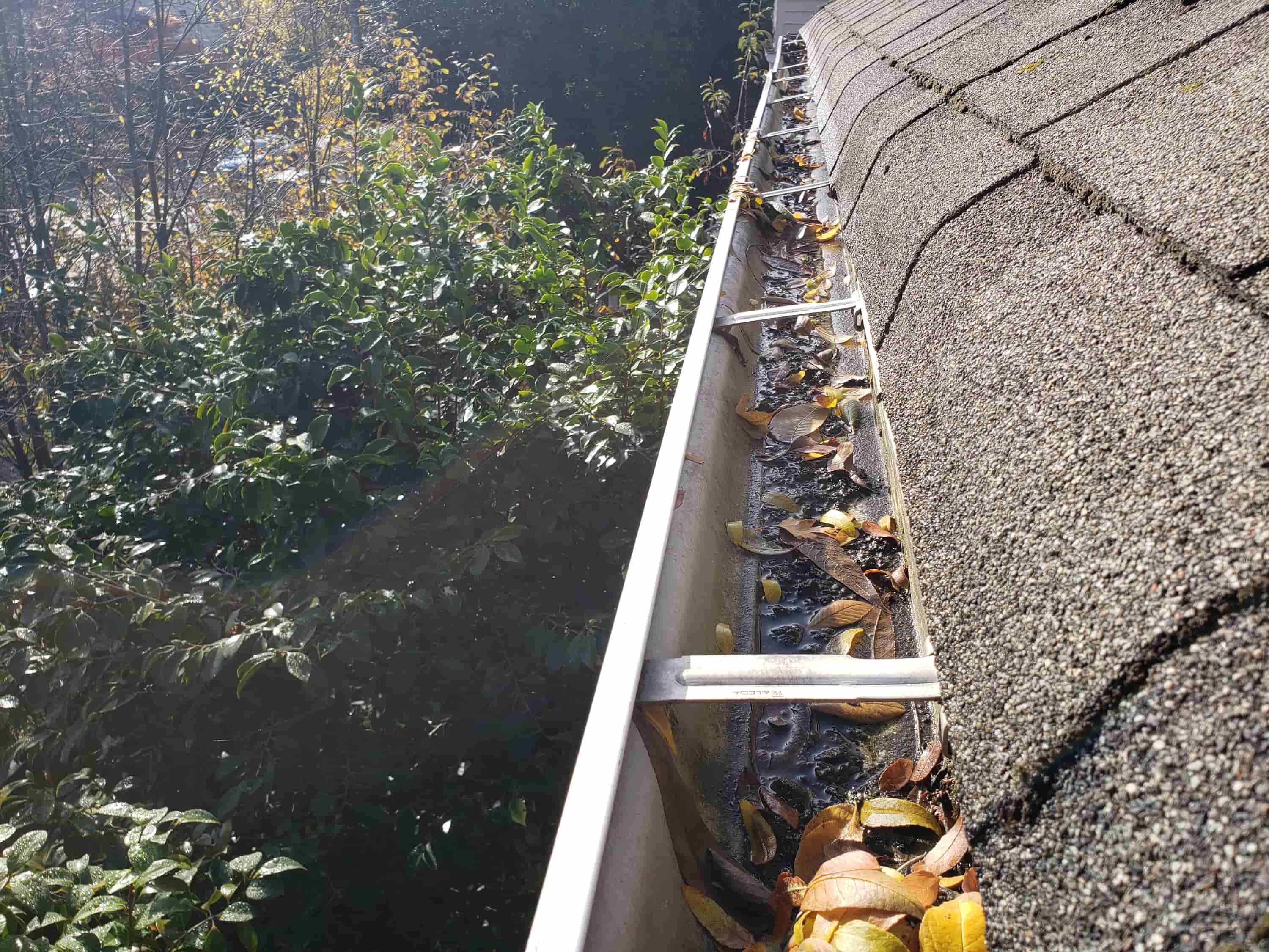 how to clean gutter drains