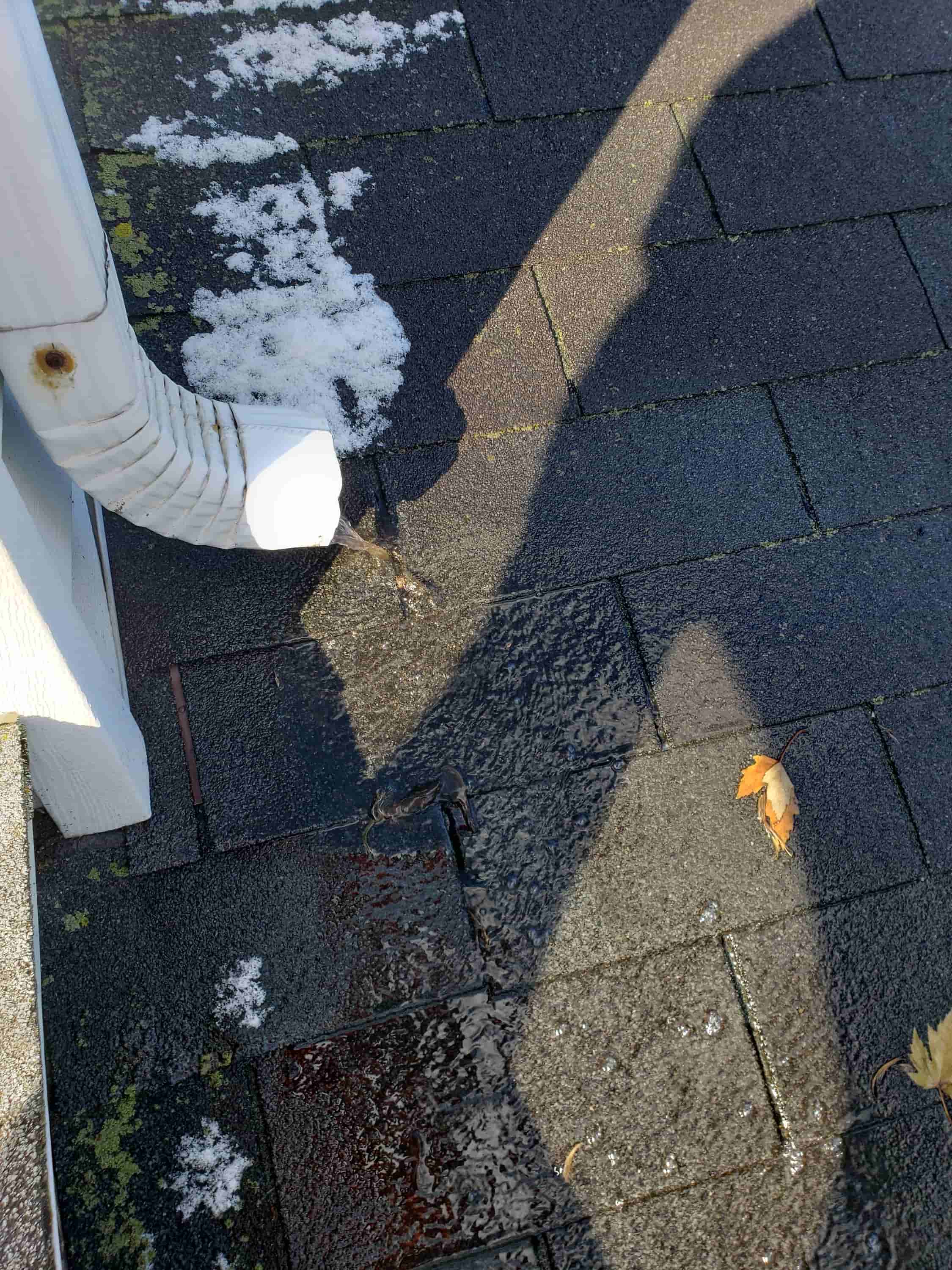 rain gutter snake