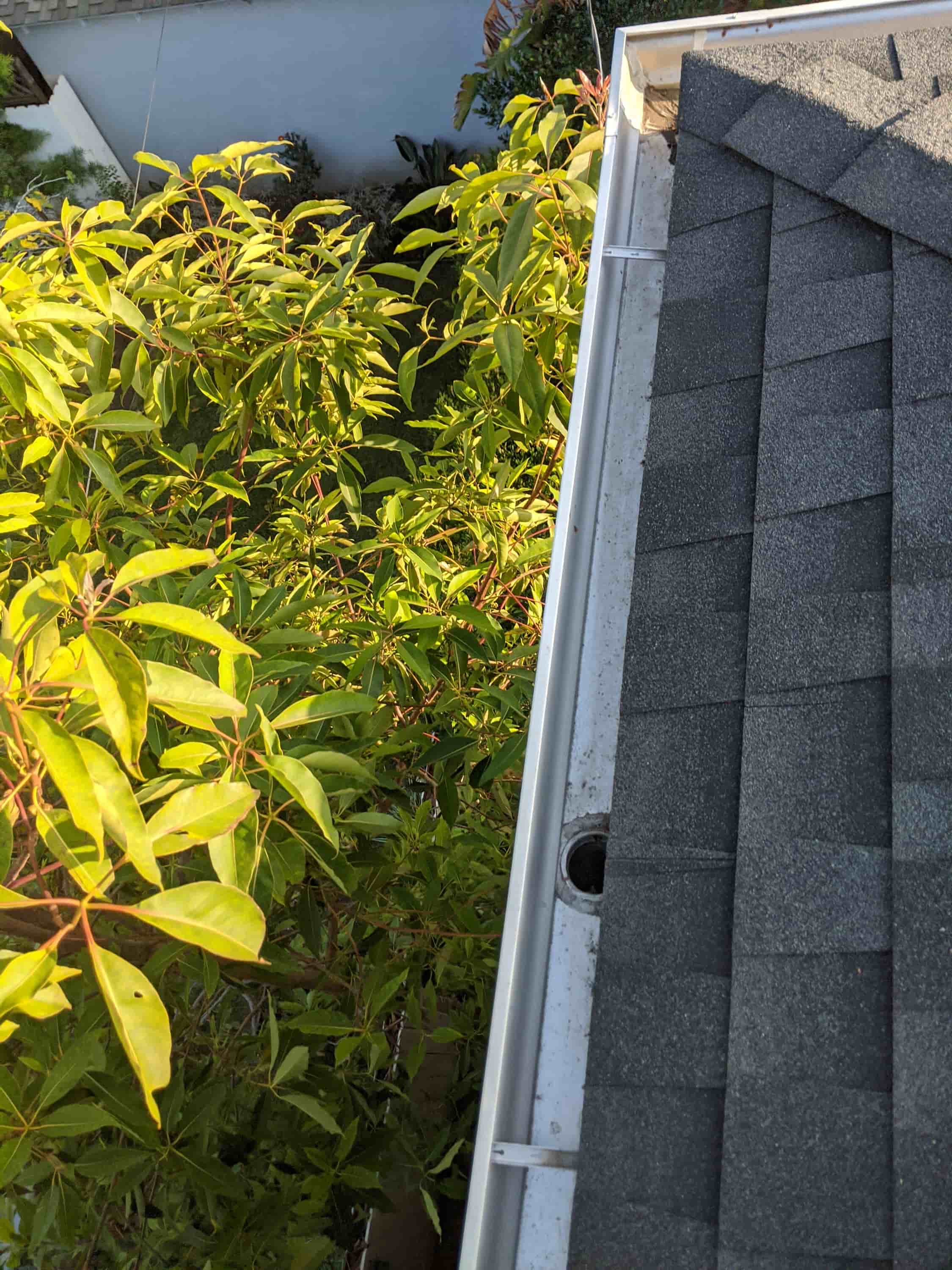how to clean eaves of house