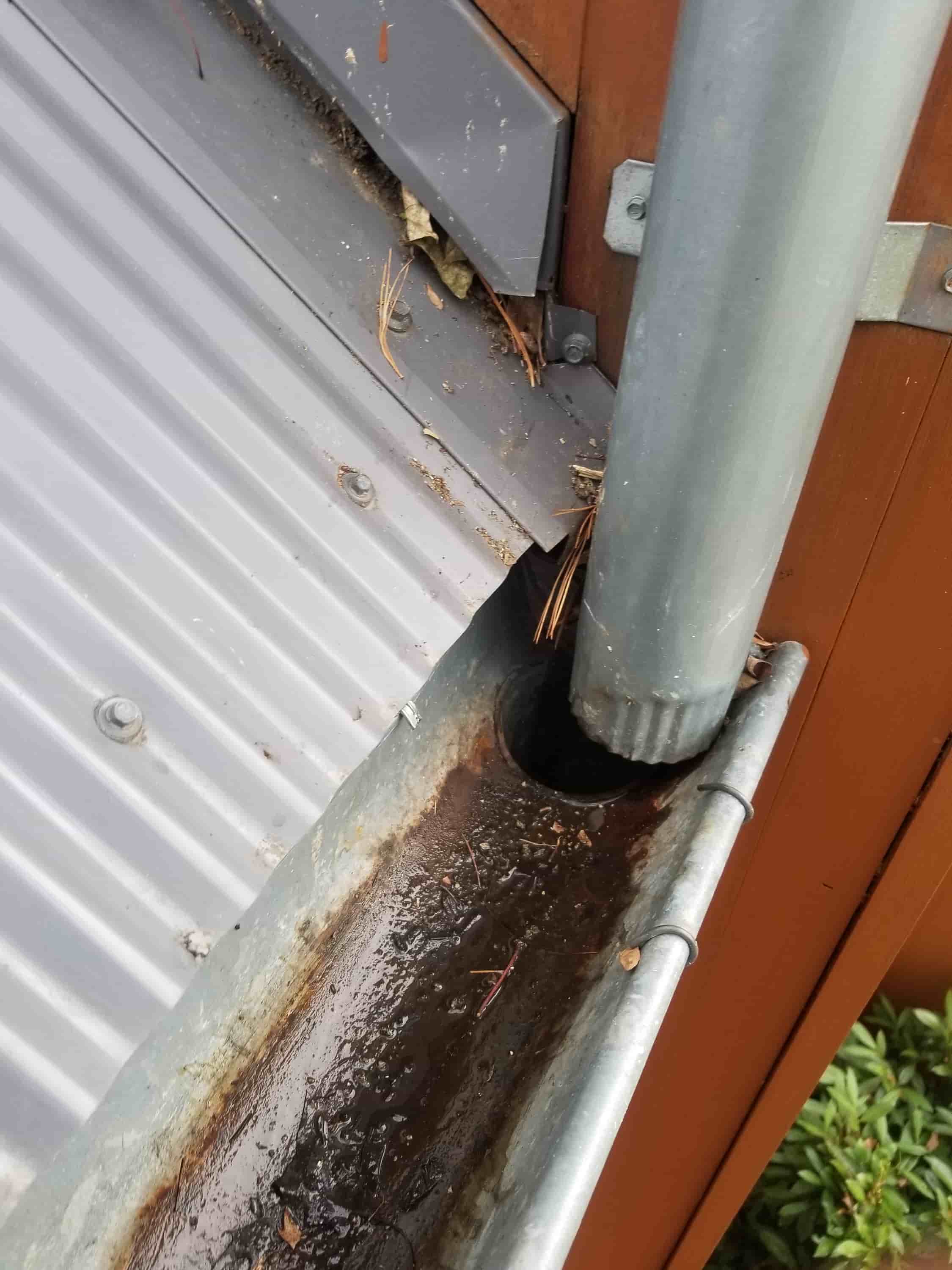 self cleaning rain gutters