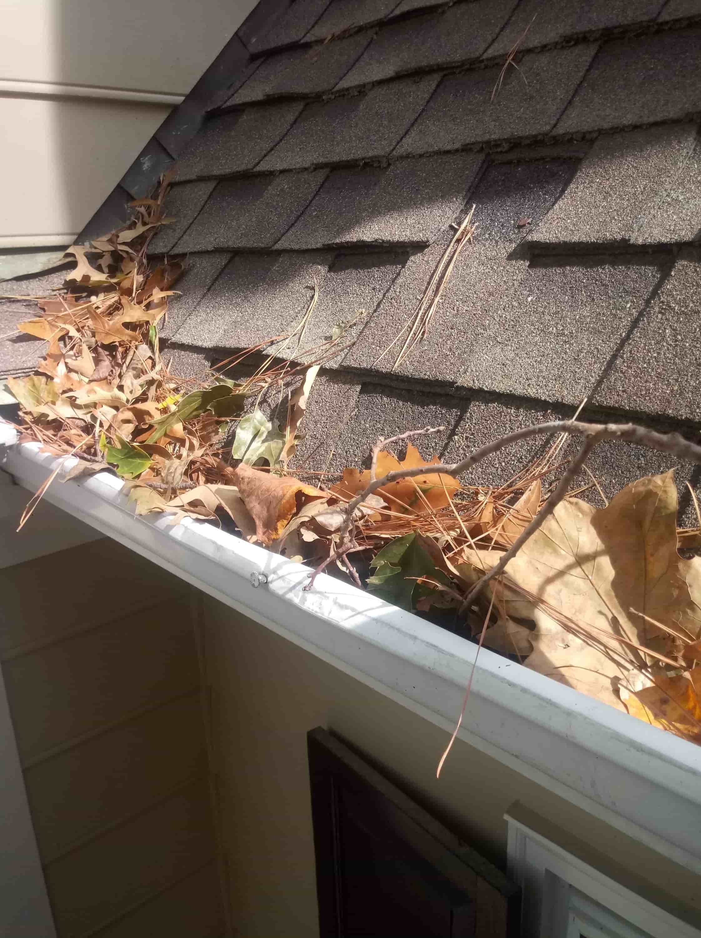gutter cleaning with pressure washer